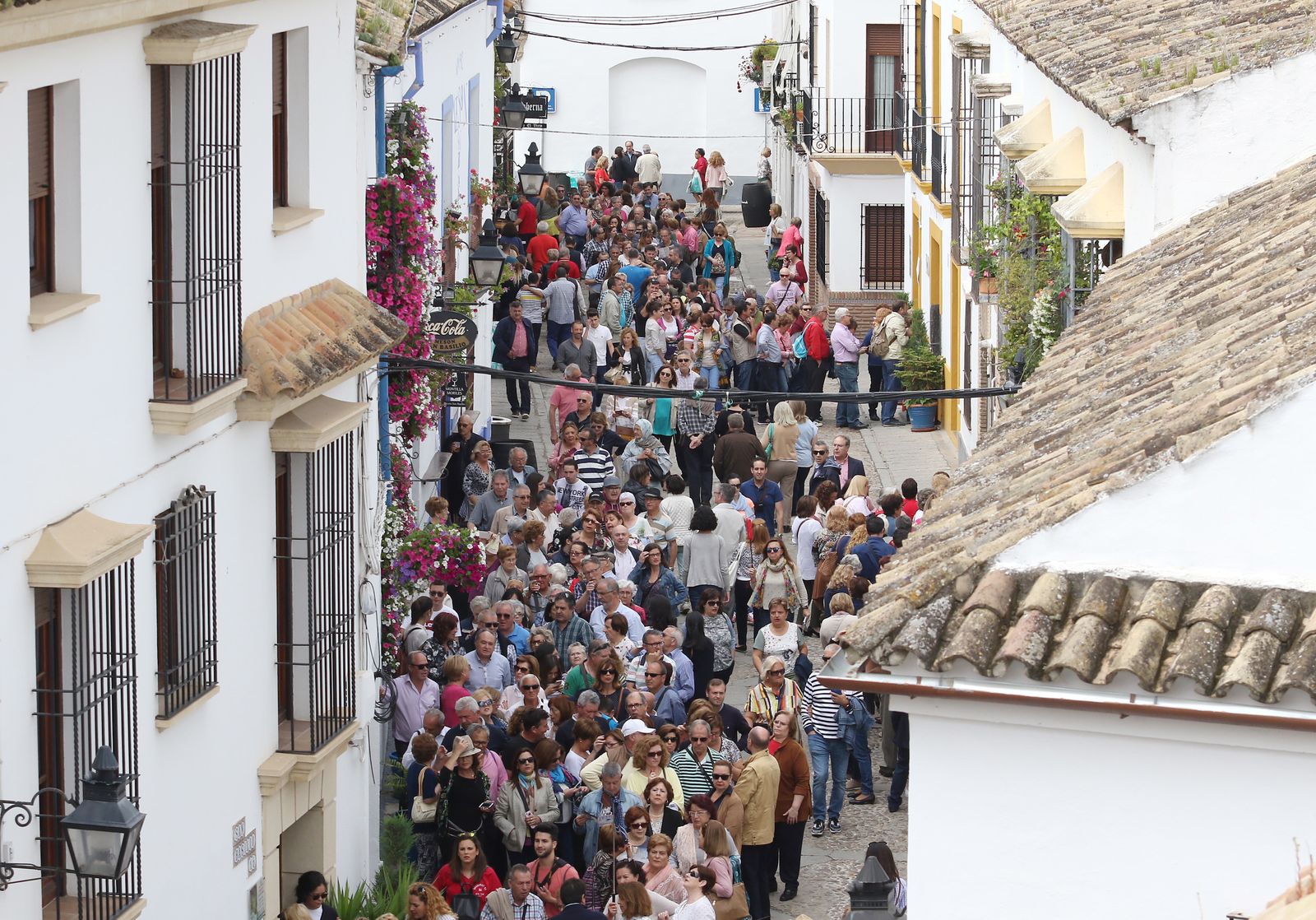 Ambiente en los patios ganadores de 2017