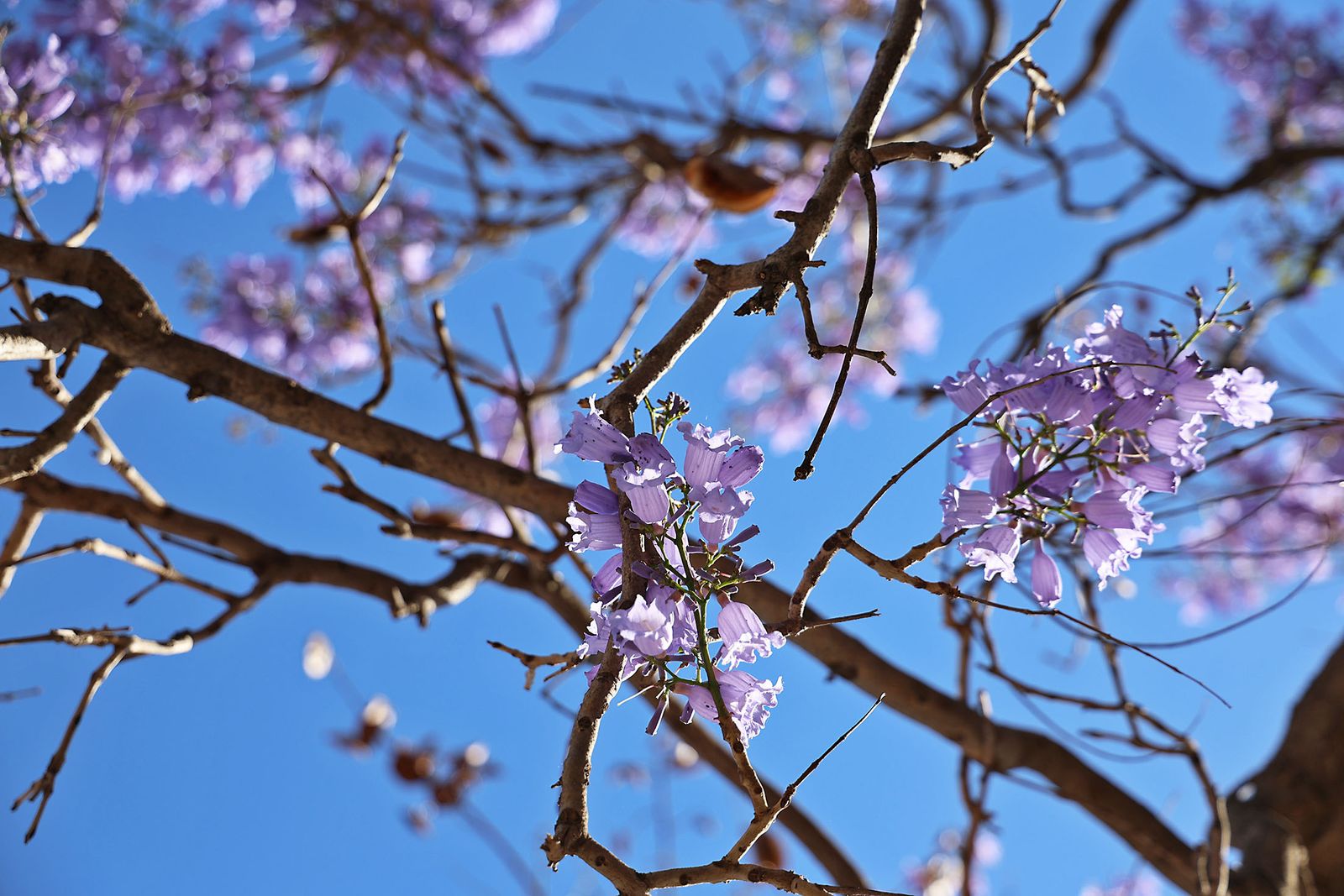Las imágenes más destacadas del miércoles 8 de mayo en Huelva