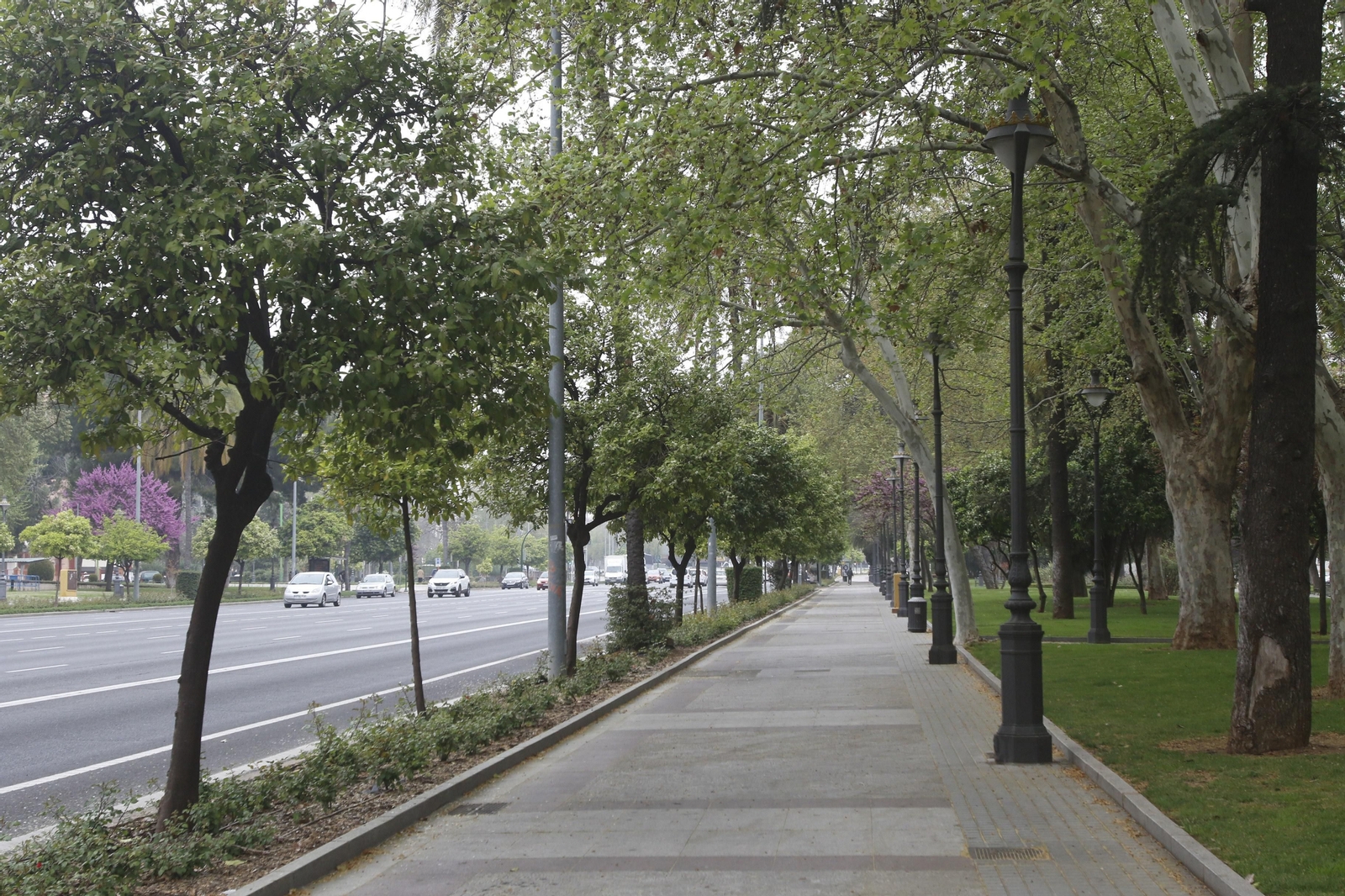 Coronavirus en Córdoba: las fotos de una ciudad (casi) vacía