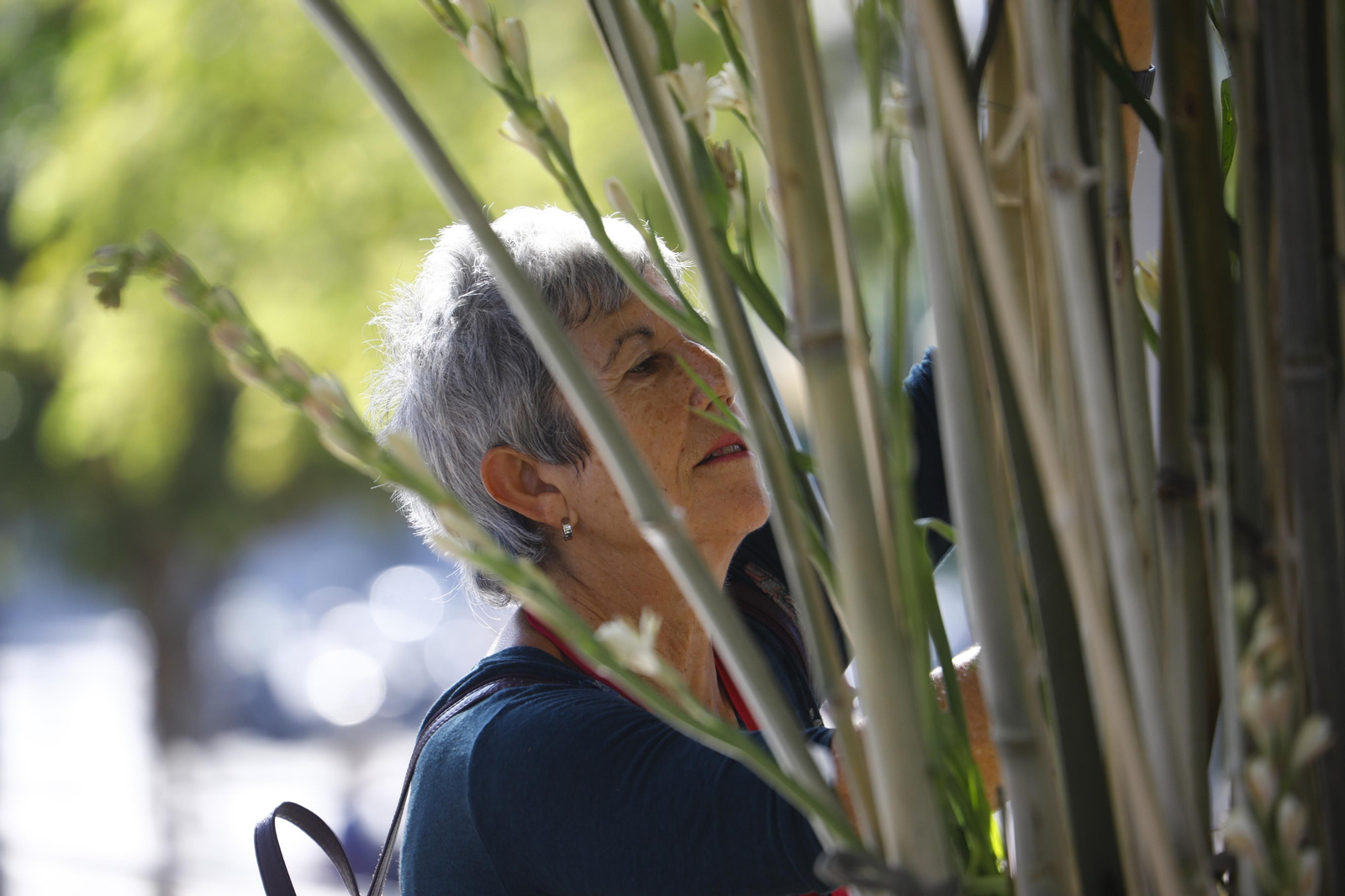 La Guerrilla de flores de Flora inunda el Paseo de la Victoria, en imágenes