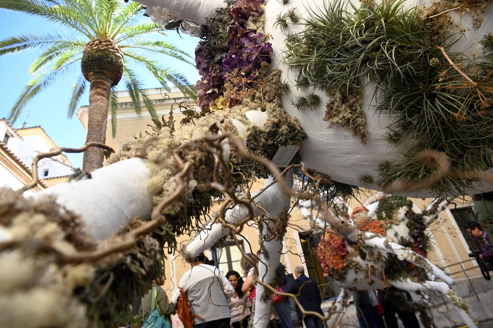 Las mejores fotos del Festival Flora 2024 de Córdoba