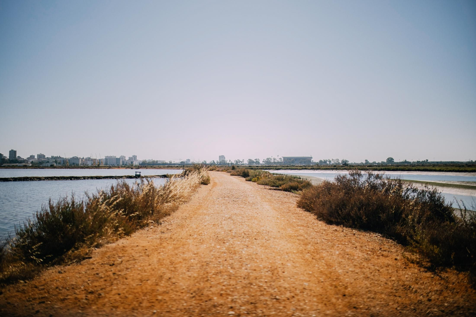 Un recorrido fotográfico por el Paraje Natural Marismas del Odiel
