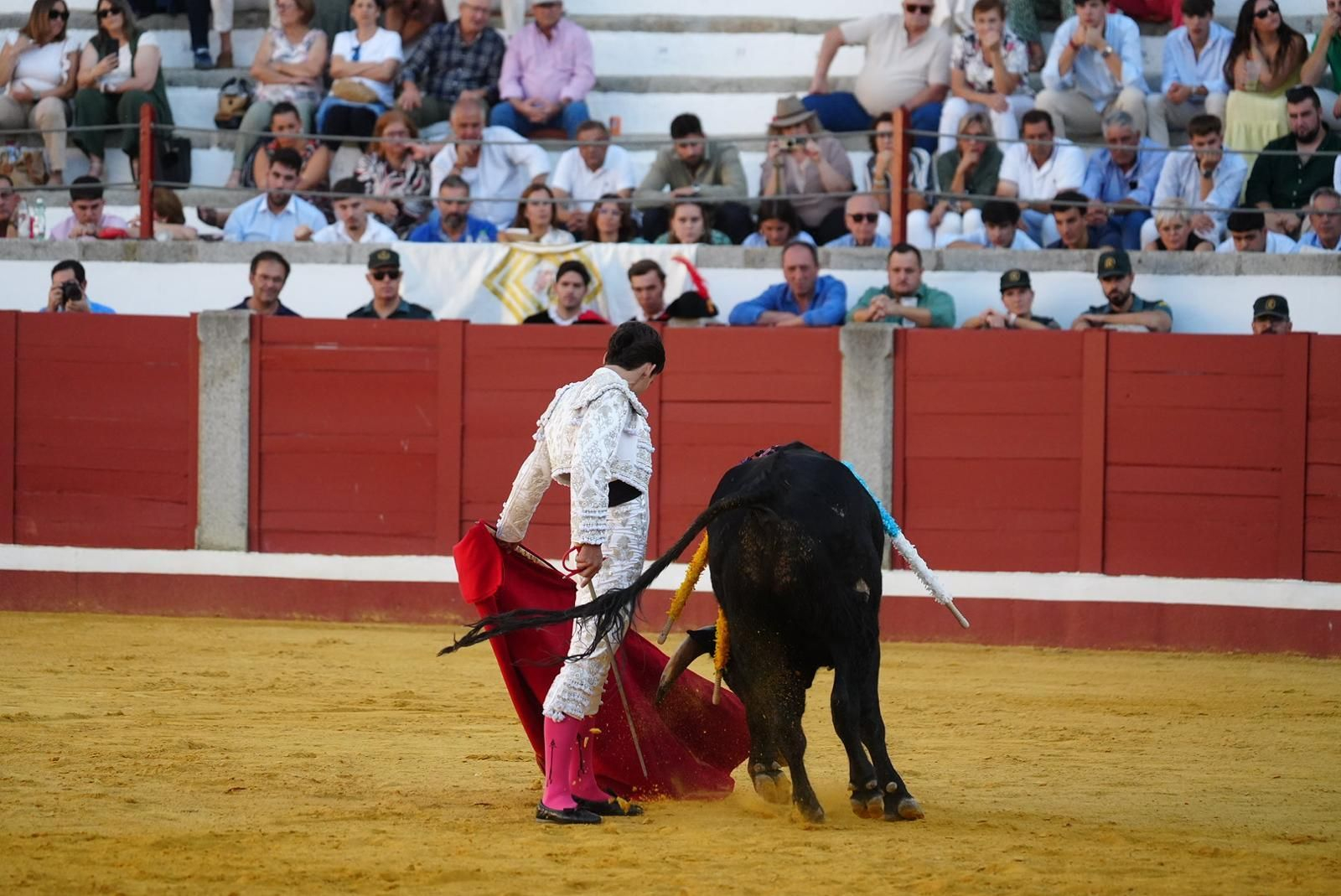 Las fotos del triunfo de Manuel Quintana en la feria taurina de Pozoblanco