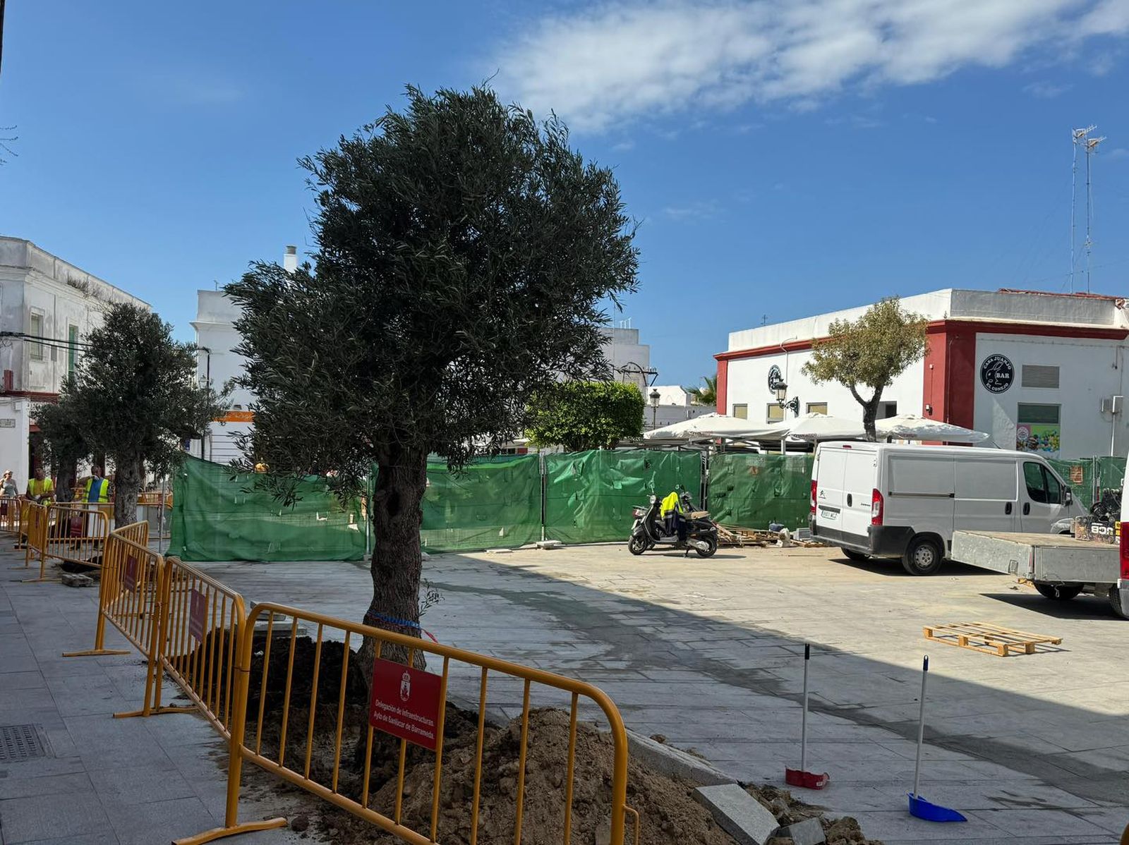 La nueva cara de la plaza de la Paz con los olivos.