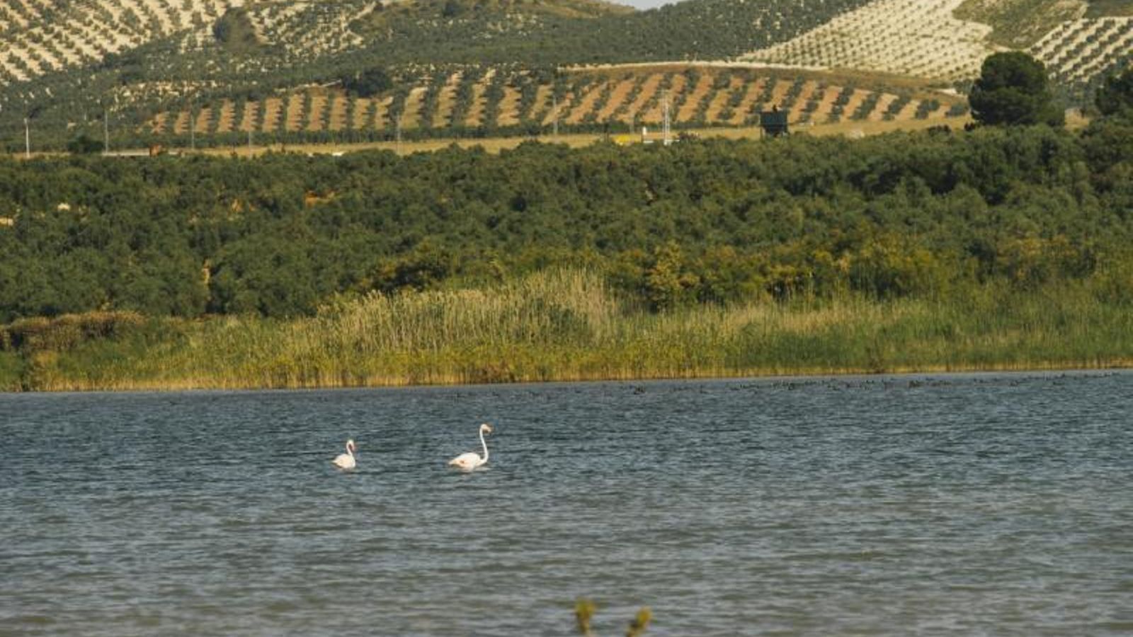Reserva Natural Laguna del Gosque.