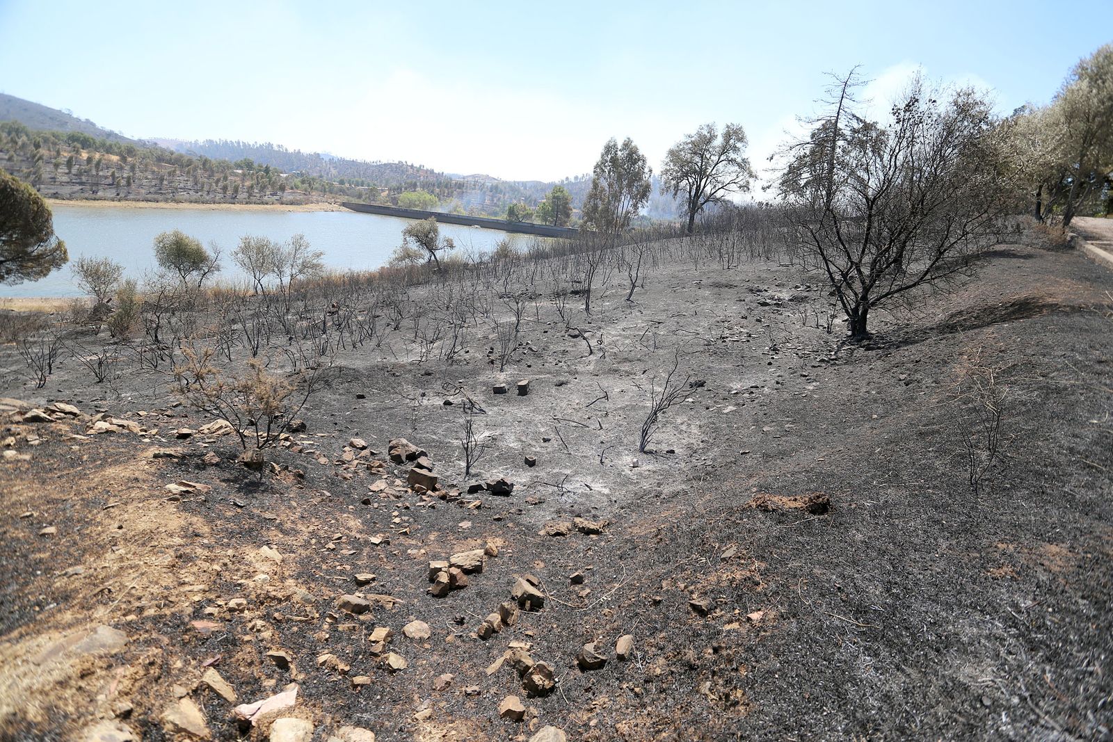 Imágenes de la devastación que deja a su paso el incendio de Almonaster la real.