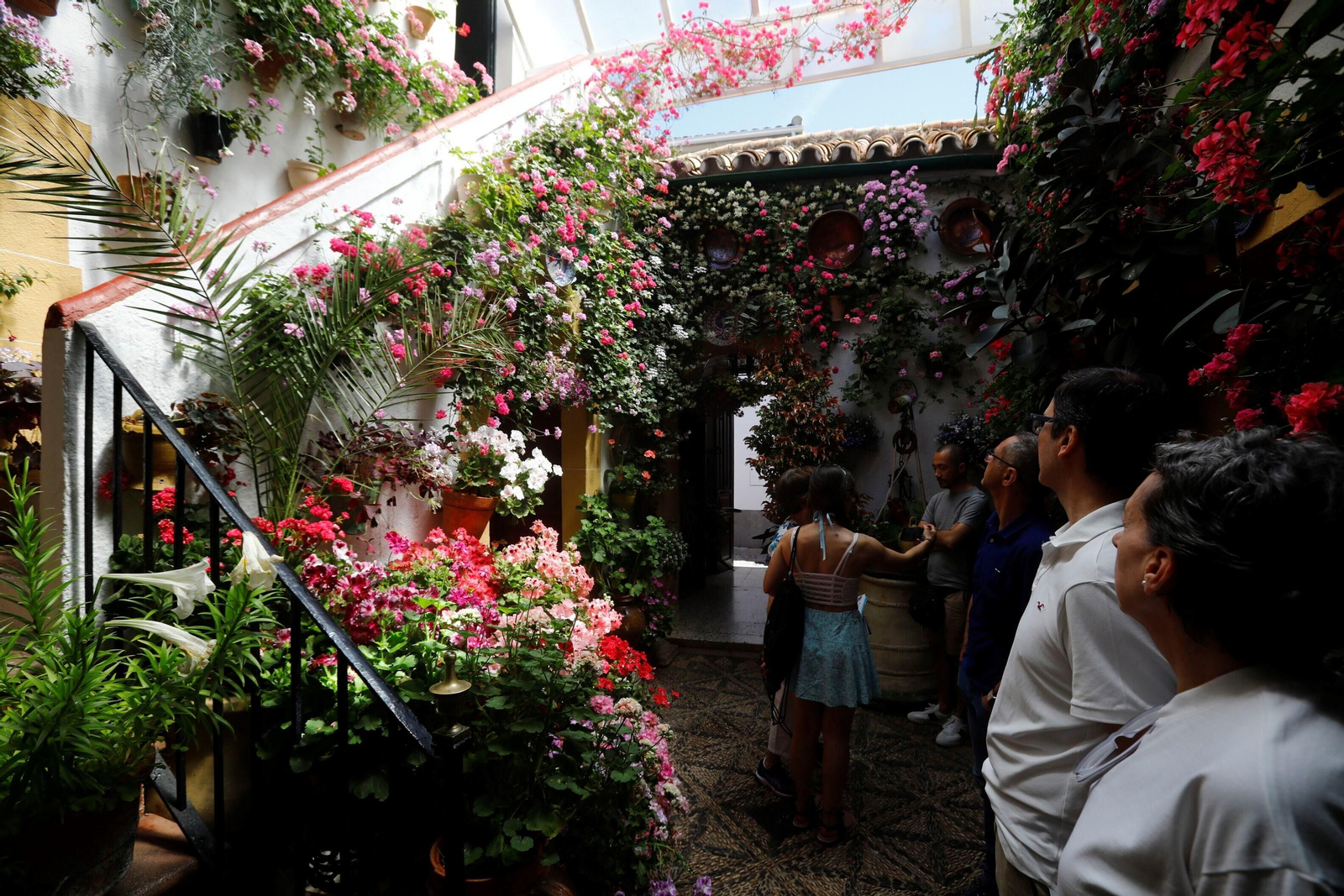 La ruta de Patios Santa Marina-San Agustín, en imágenes