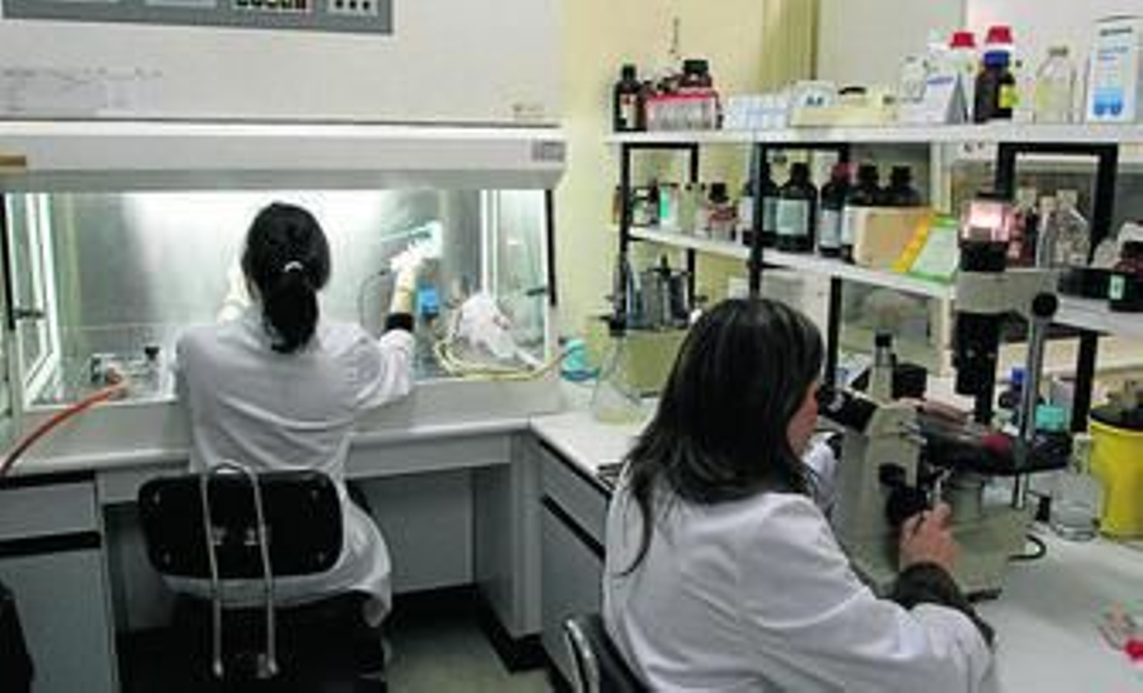 Según la fase se necesita un número de pacientes pero todo sigue el mismo control médico y de los profesionales sanitarios.