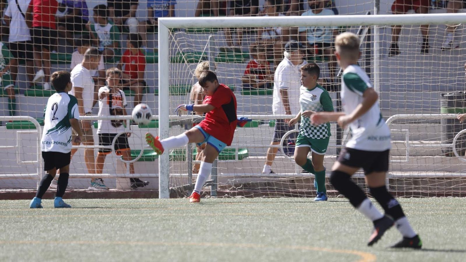 Las fotos del Torneo de alevines en el campo de Los Olivíllos en San Roque