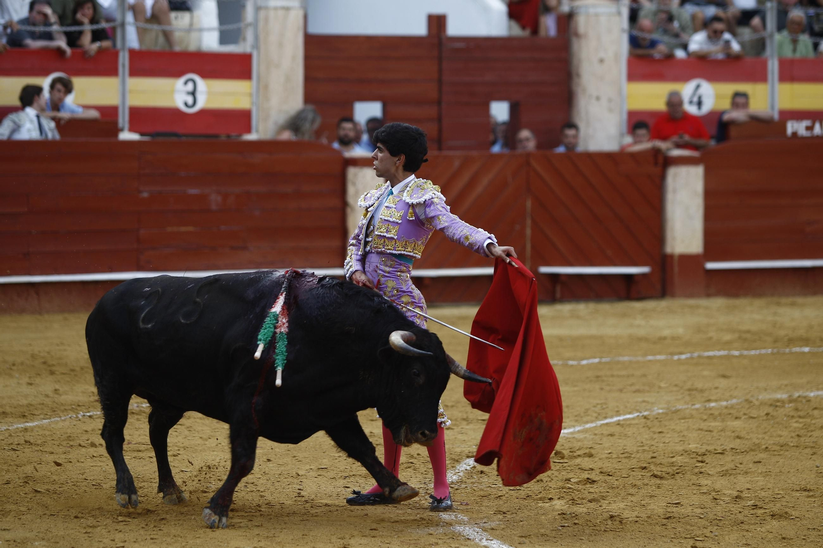 Imágenes de la novillada de la Feria de Almería 2025