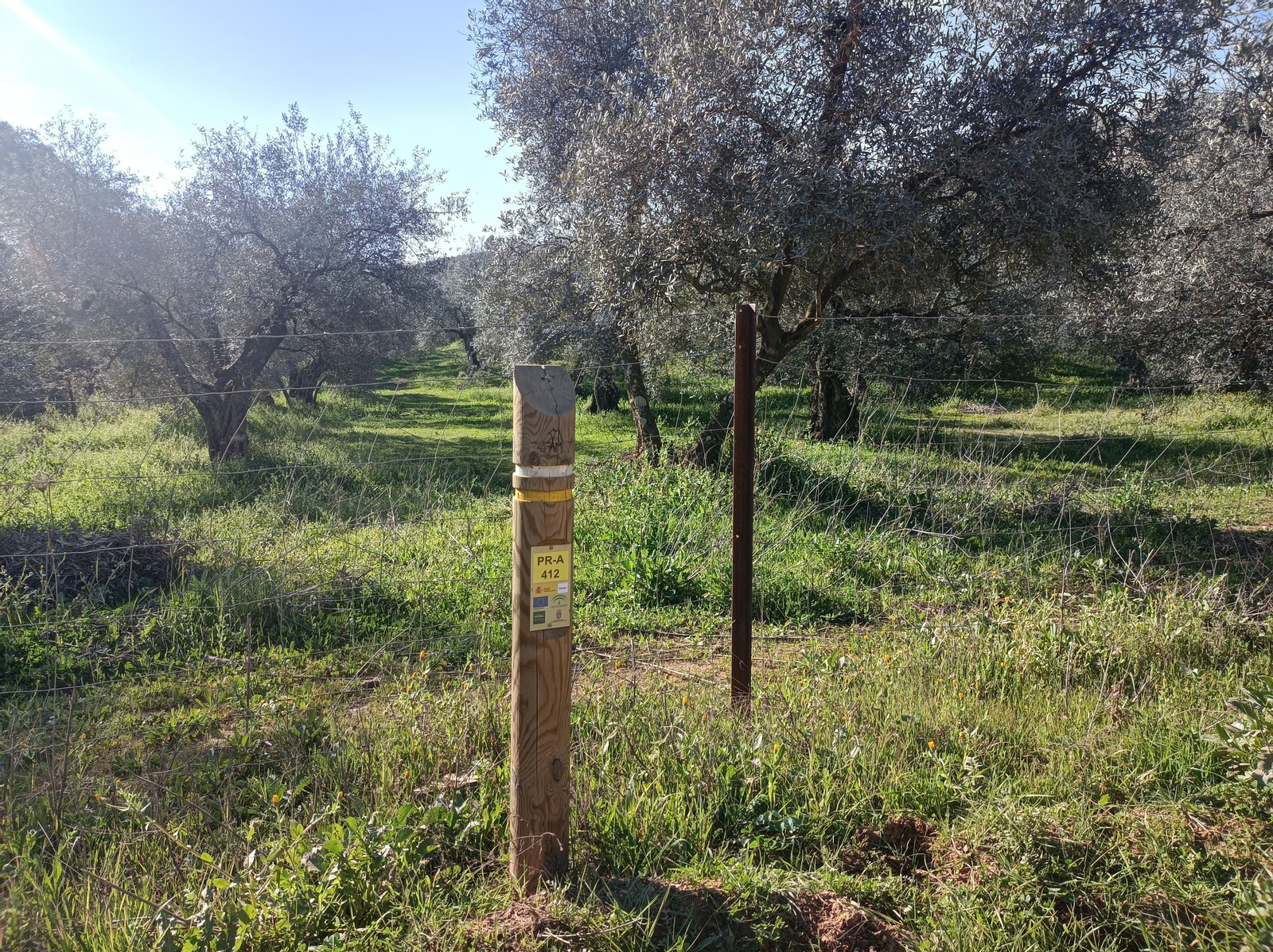 Las fotos de la circular de los Molinos del Ciudadeja