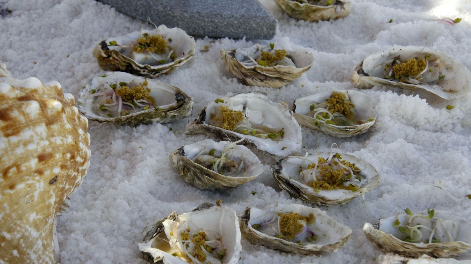 El restaurante Los Portales sorprendió con su plato de Ostras de estero maceradas con toques picantes.