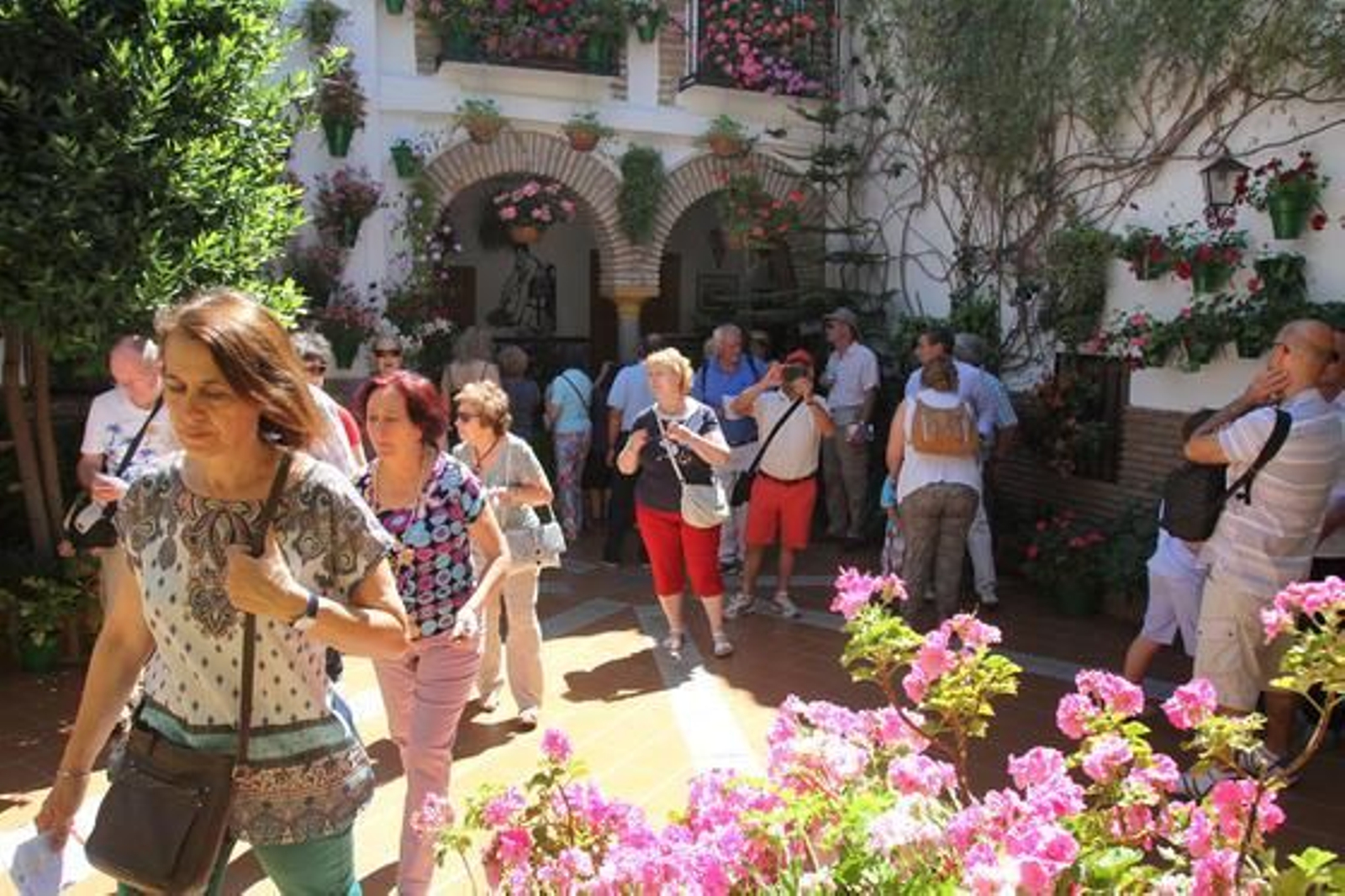 Foto: José Martínez