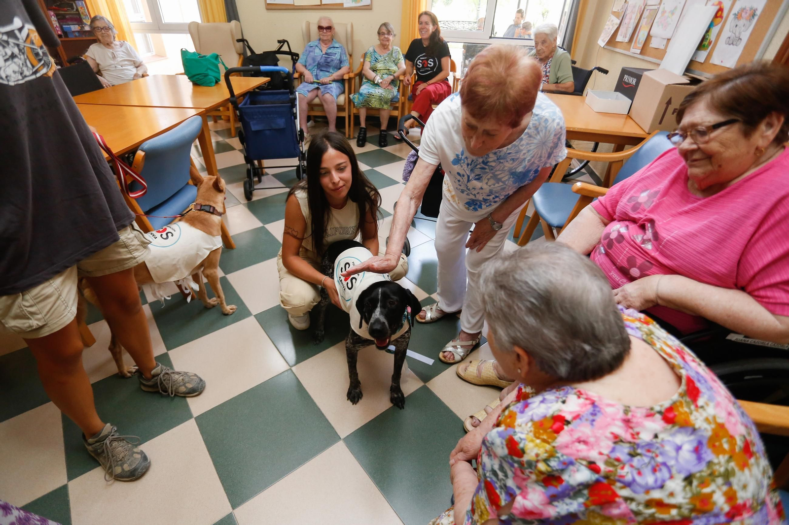 La visita de los perros de la protectora de Los Barrios a la residencia de mayores, en imágenes
