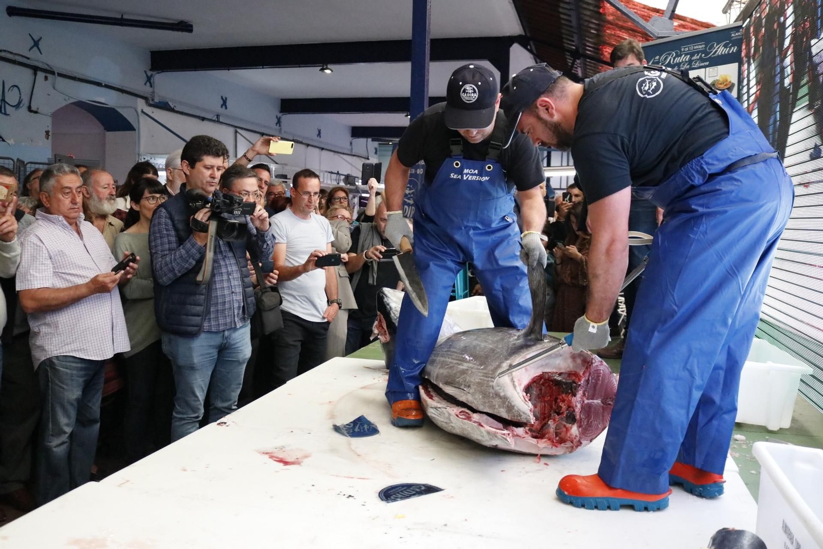 Un momento del ronqueo del ejemplar de atún.