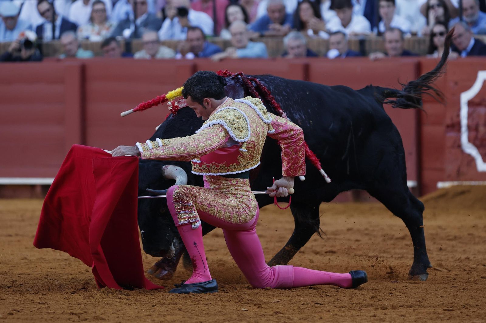 Las imágenes del primer festejo de San Miguel