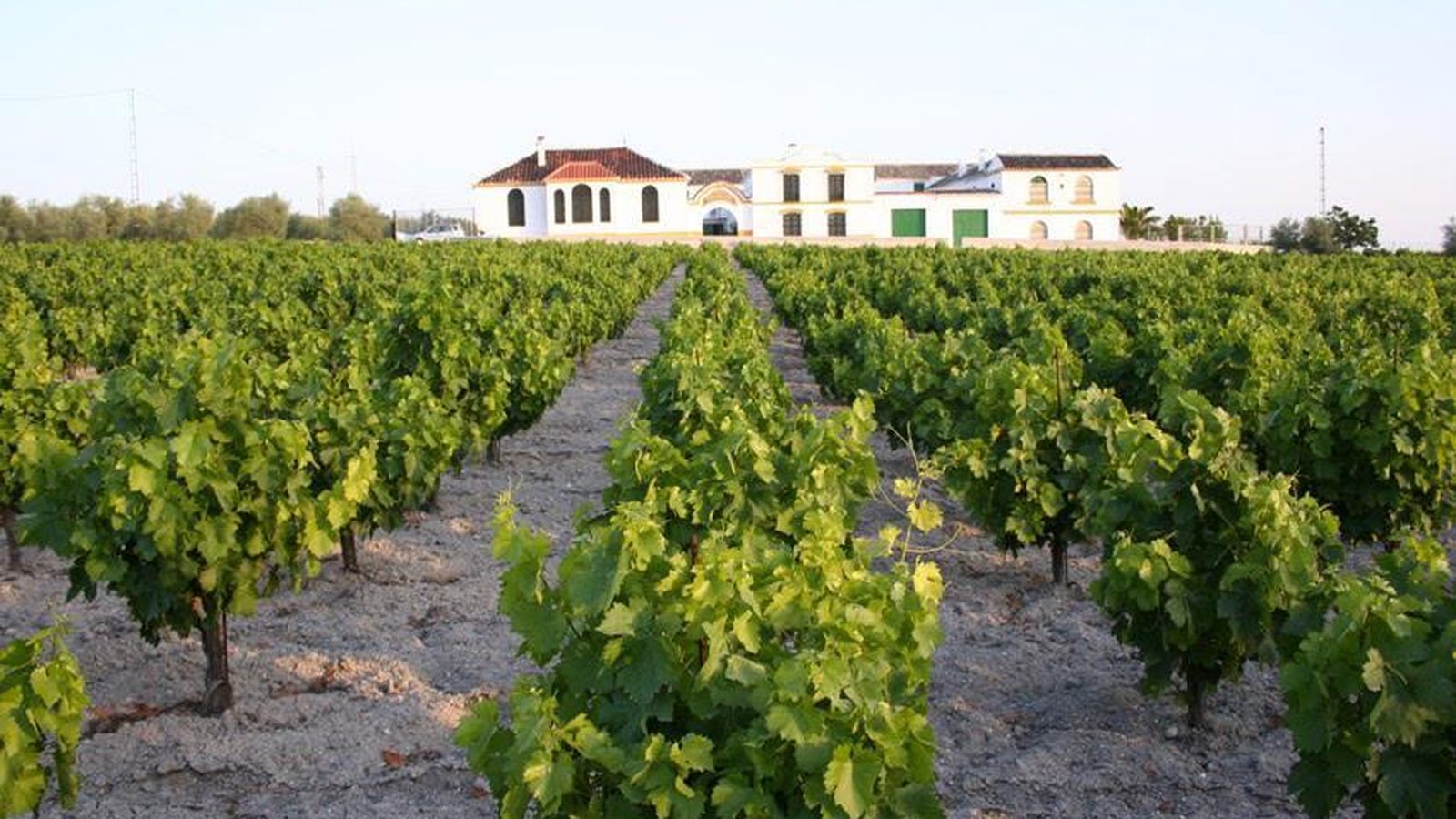 Lagar de Casablanca, en Moriles Alto.