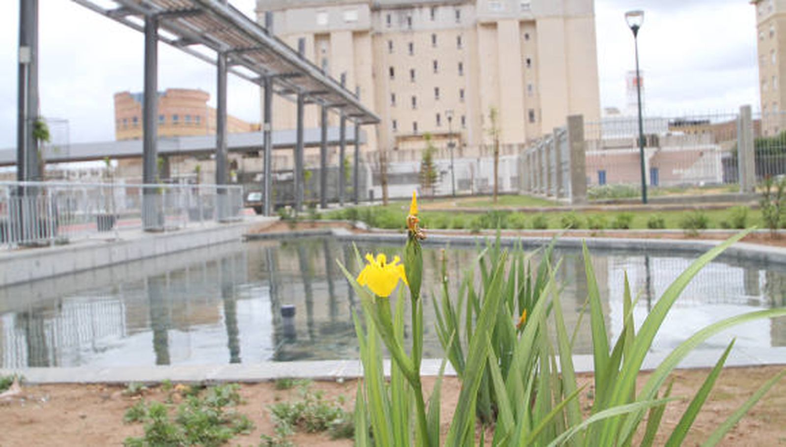 El parque de la Ranilla permanecerá cerrado todo el día por tratamientos fitosanitarios