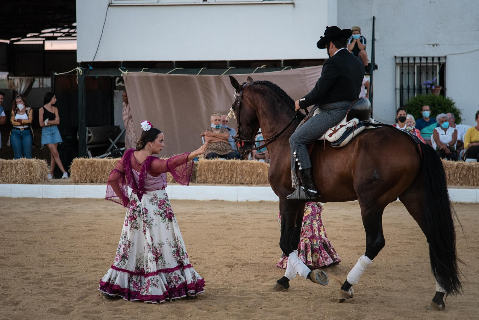 El espectáculo Flamencab en imágenes