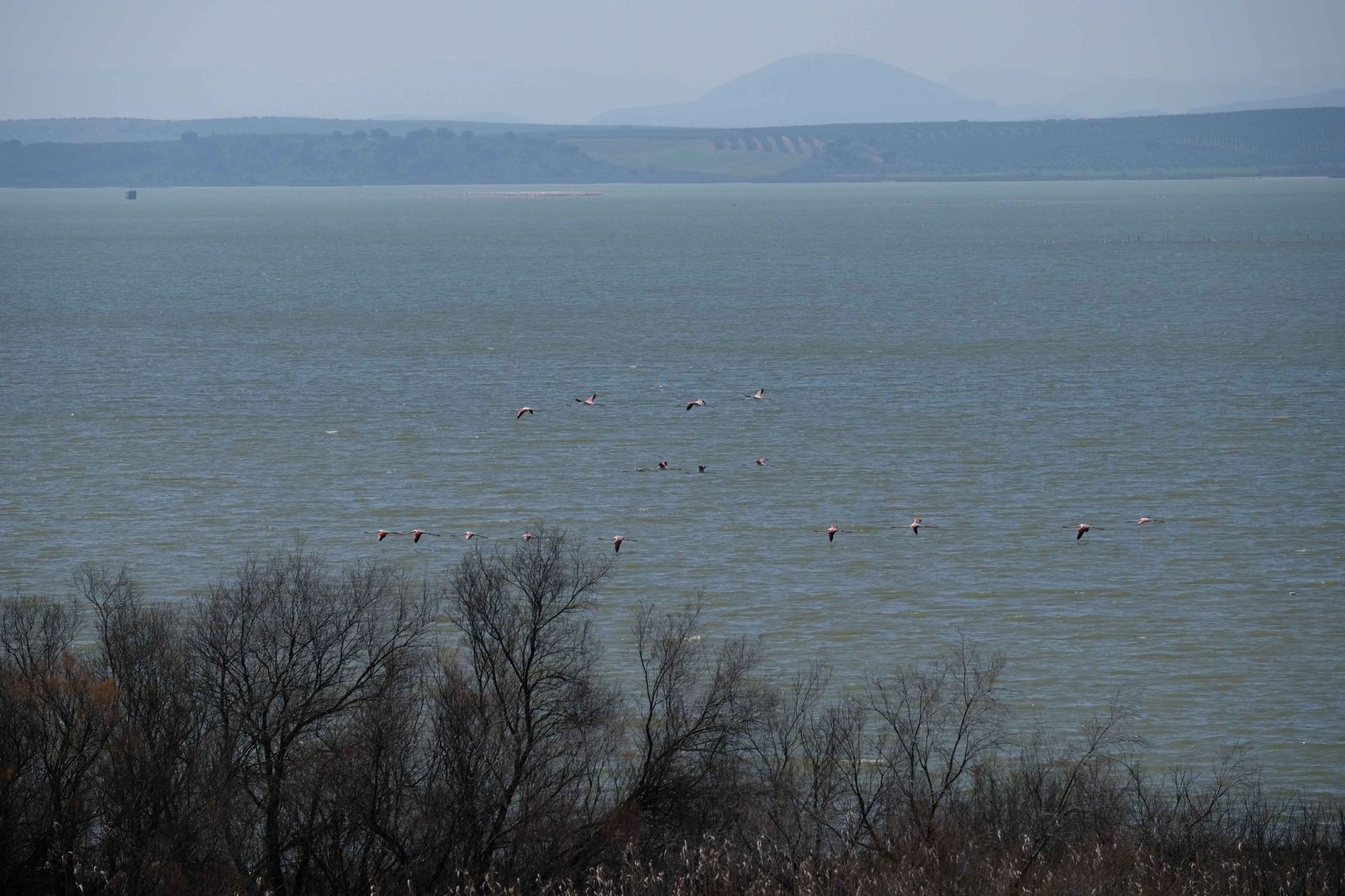 Las lluvias transforman el paisaje en el interior de Málaga, en imágenes