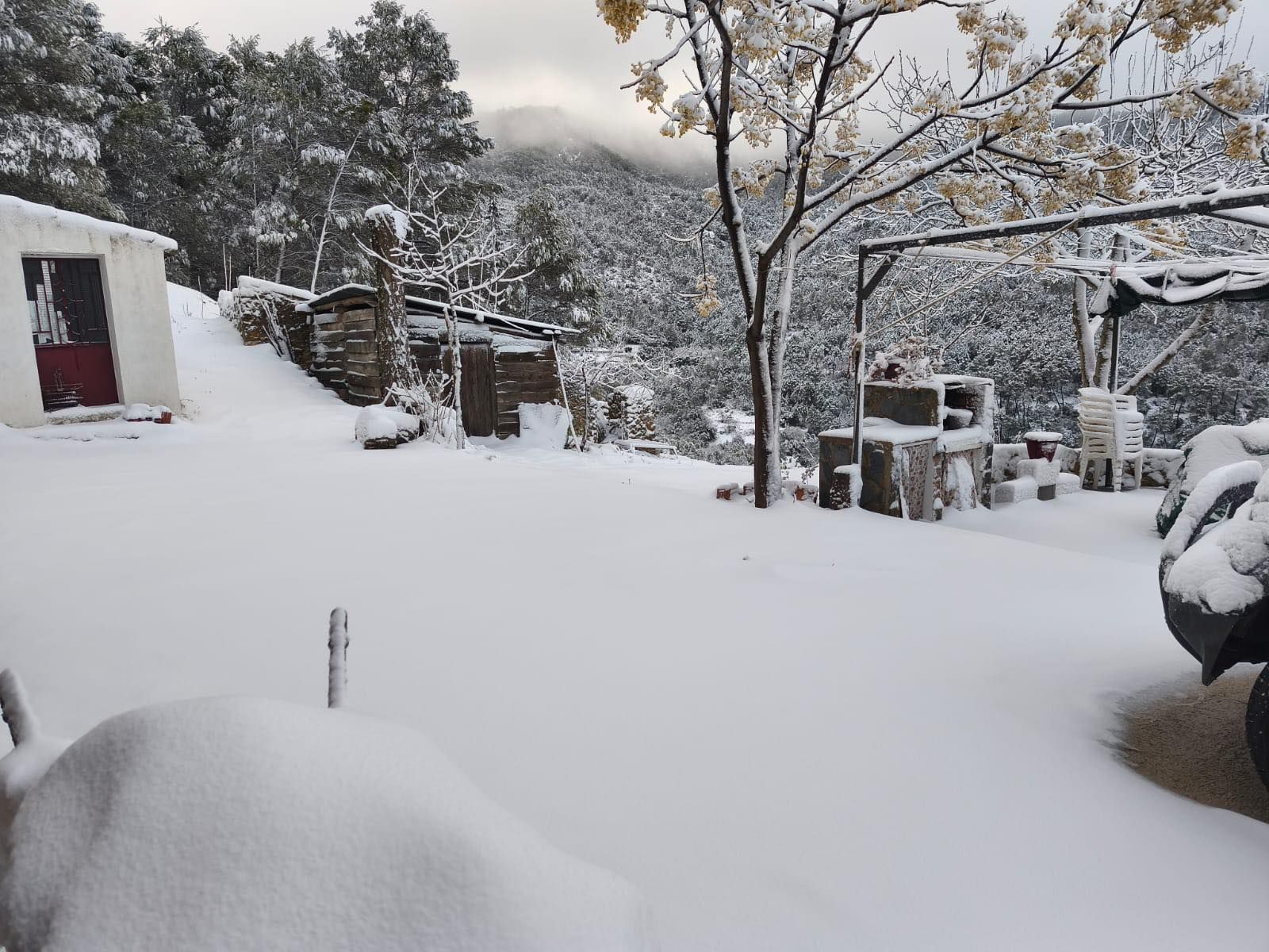 622524944_1440458127458759_3761670818196921911_n