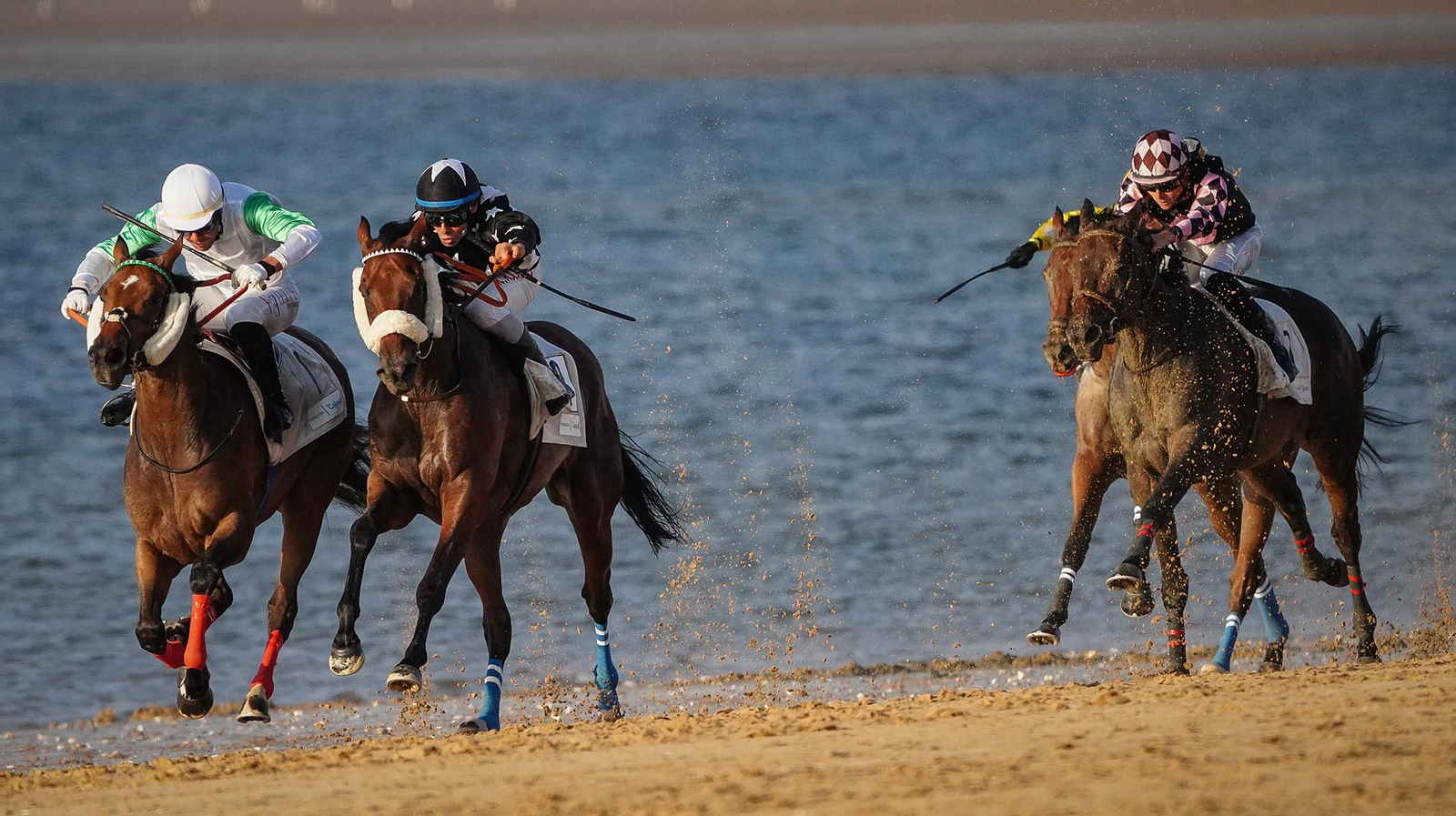 Imágenes de las Carreras de Caballos de Sanlúcar