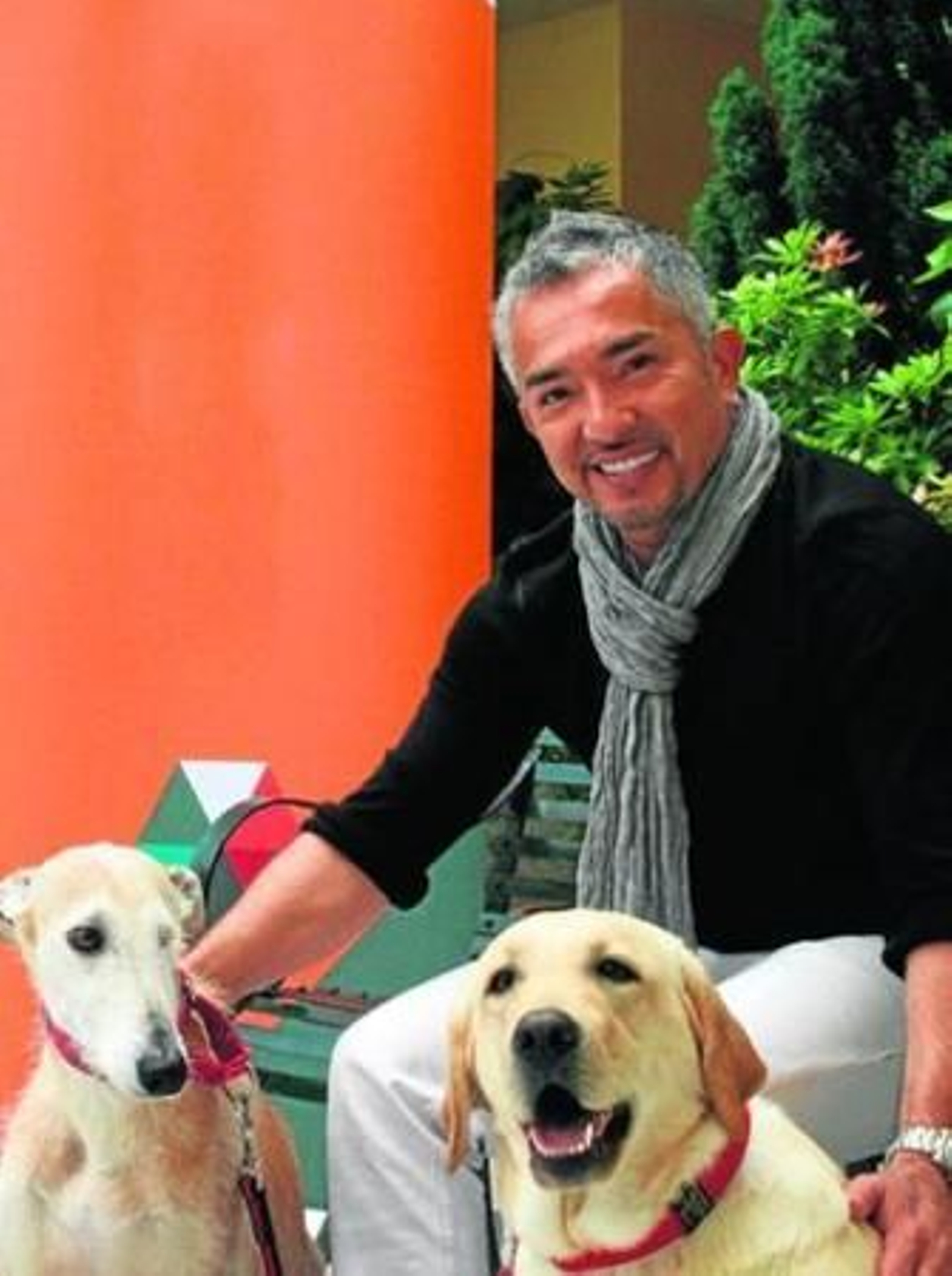 Lo que necesitas es amor canino