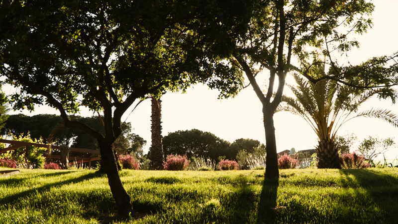 Exterior de Finca Alfoliz.