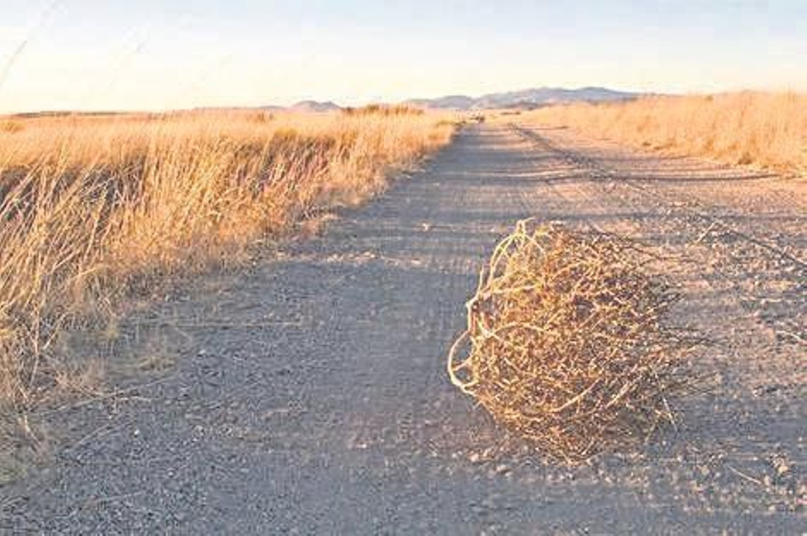 En la Sierra ya hay senderos tan concurridos que apenas se distinguen de un paseo por la calle Concepción.