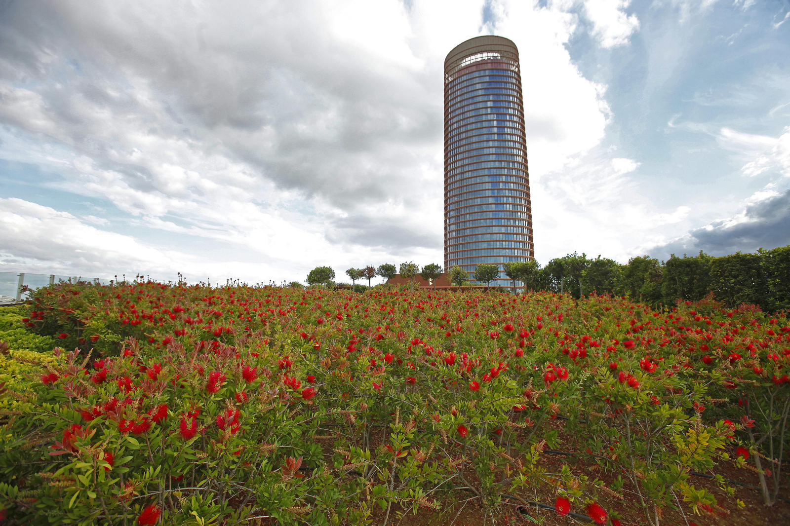 Las cubiertas vegetales del Centro Comercial Torre Sevilla