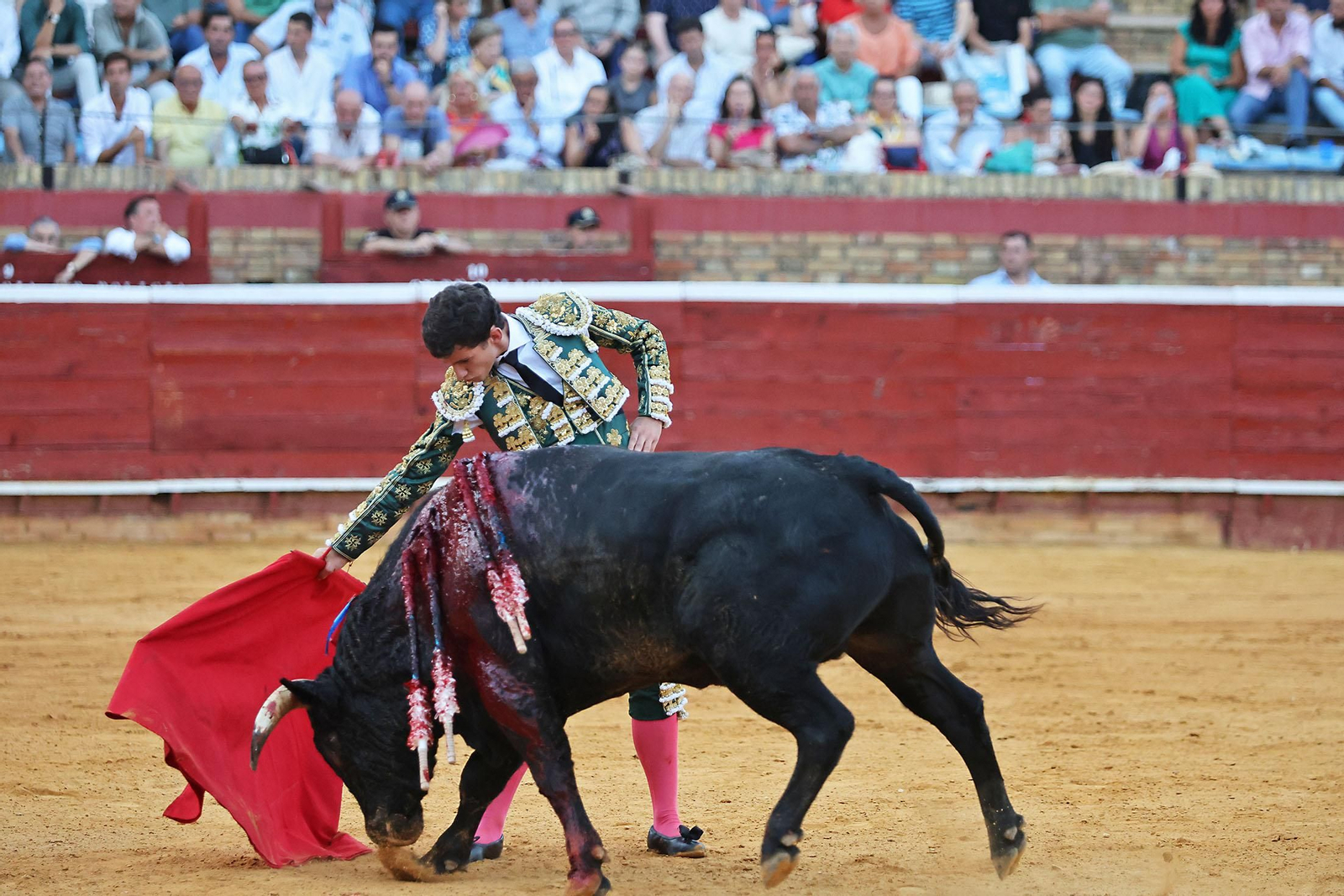 Toros La Merced 2024 Novillada con picadores(