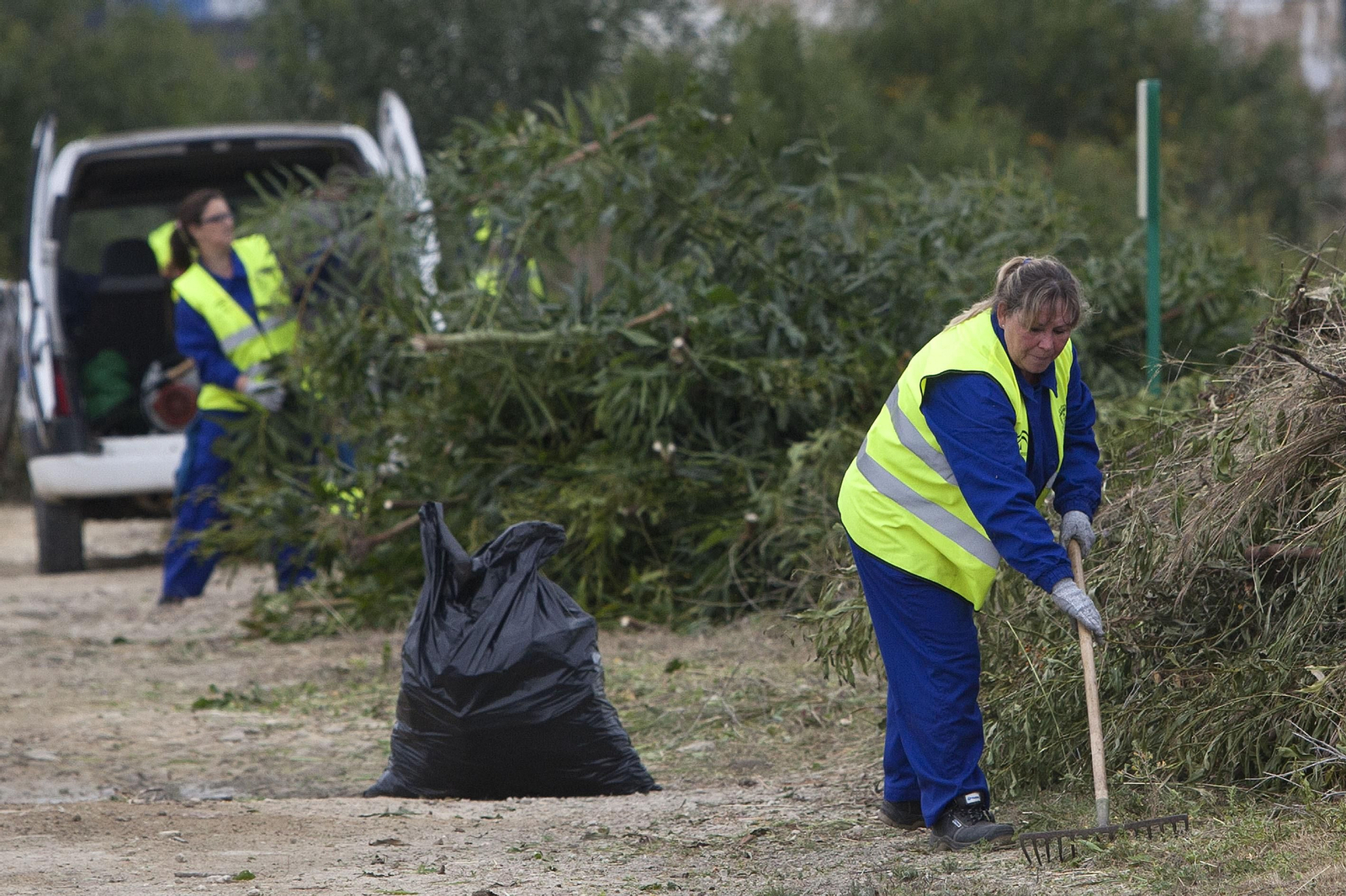 Personal contratado por los planes de empleo, en labores de desbroce, en una imagen de archivo.