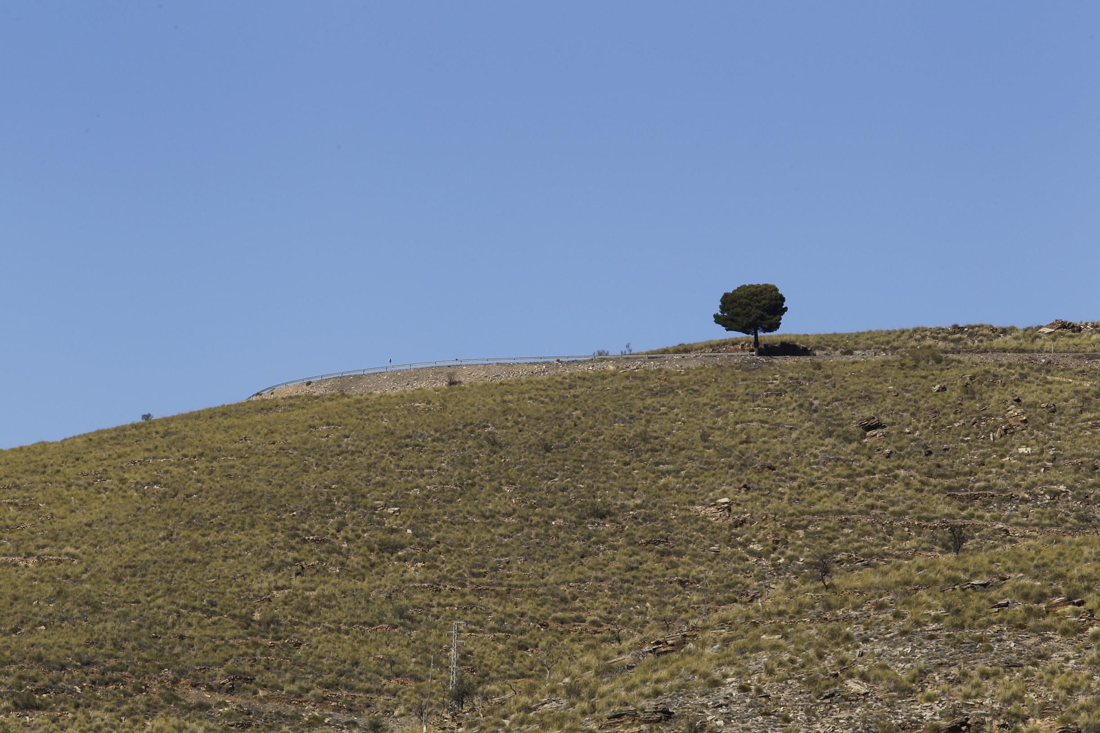 Fiestas Patronales de Escúllar
