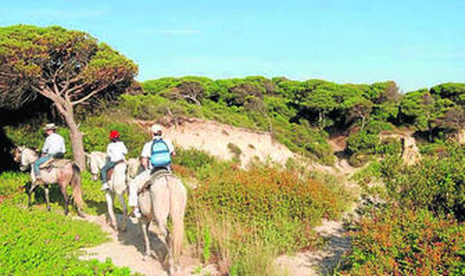 Las rutas a caballo por el entorno de Doñana en la provincia son otra opción.