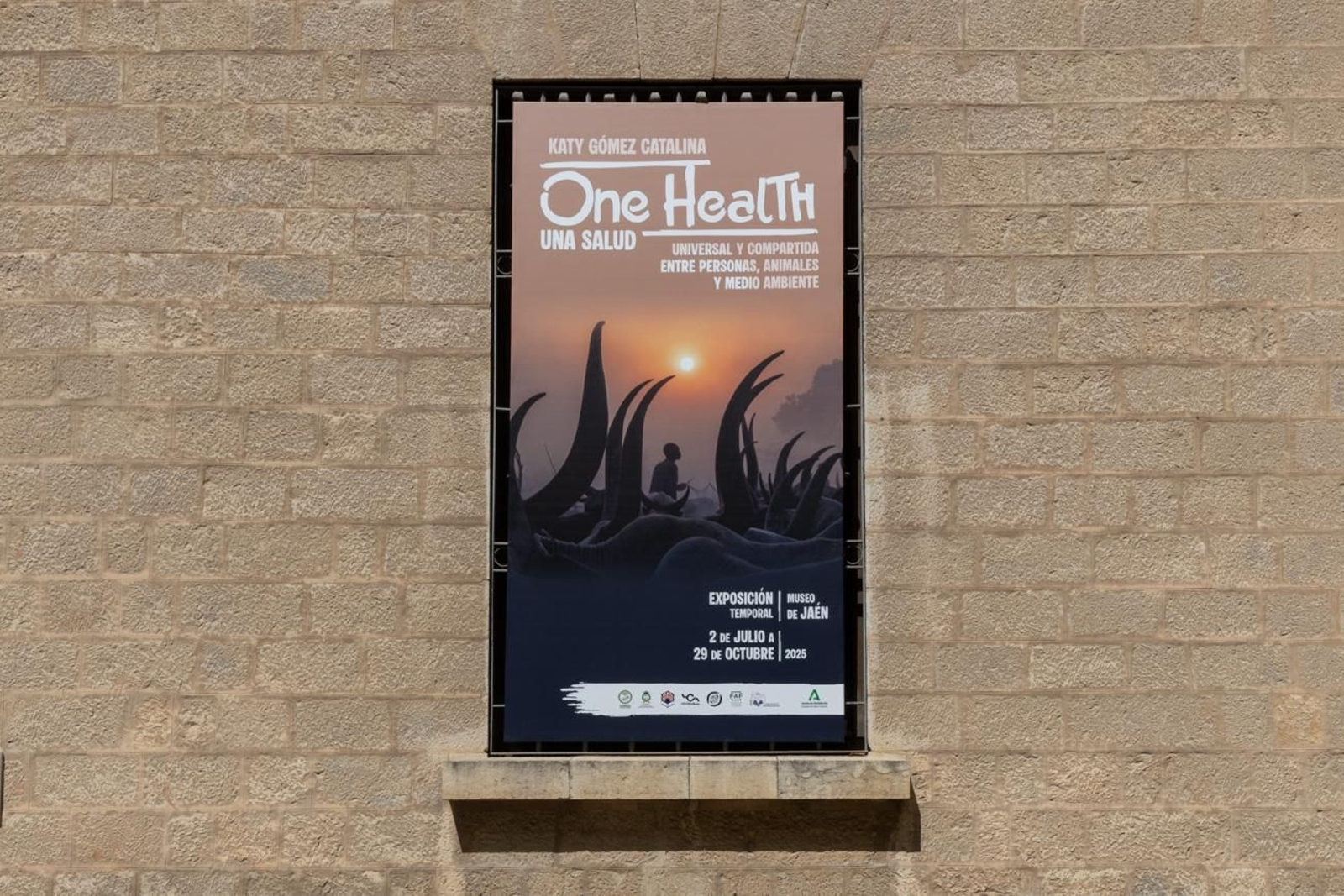 One Health en imágenes: la fotogalería de Katy Gómez que te hará reflexionar sobre la salud global