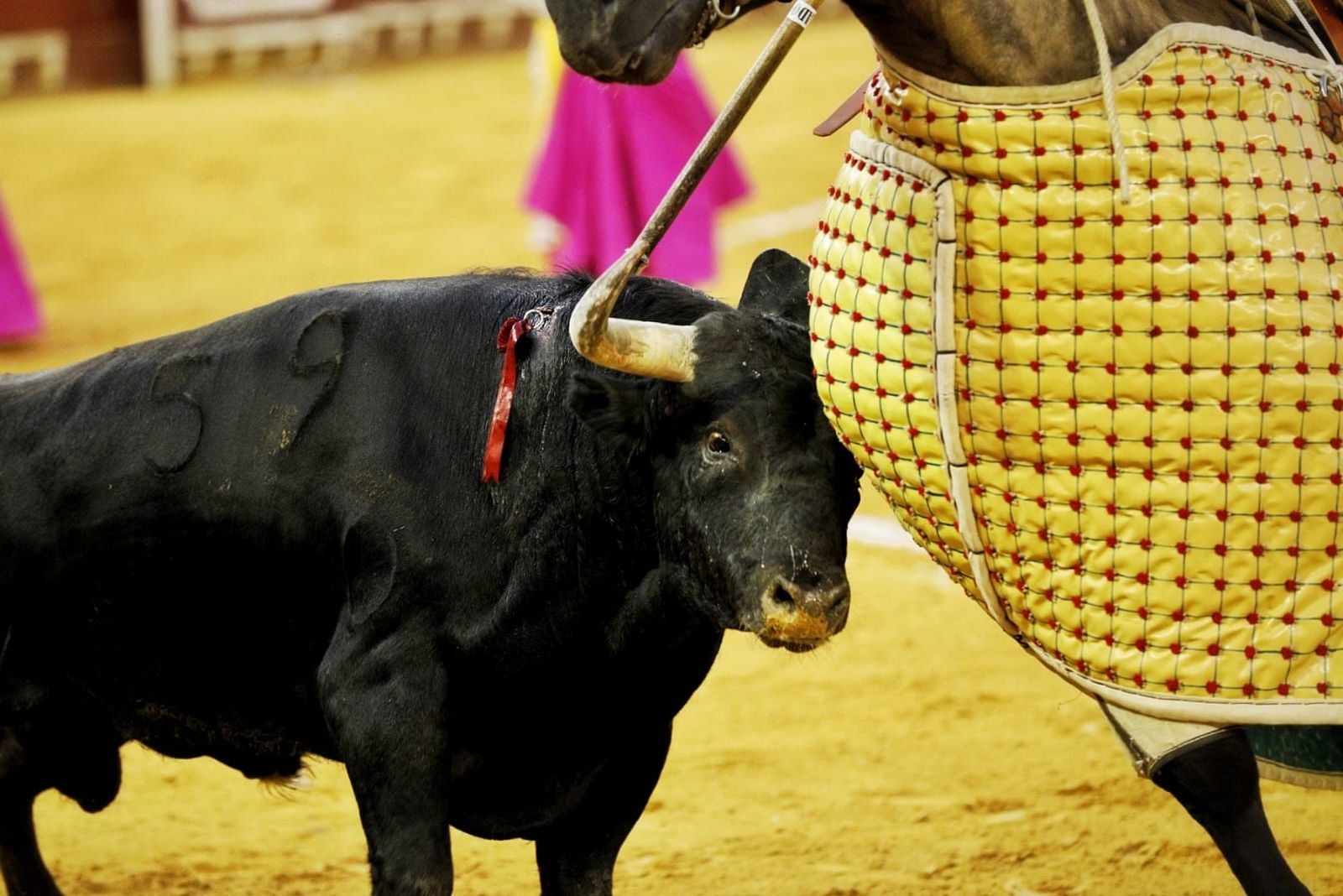 Imágenes de la despedida de Enrique Ponce en la plaza de toros de El Puerto