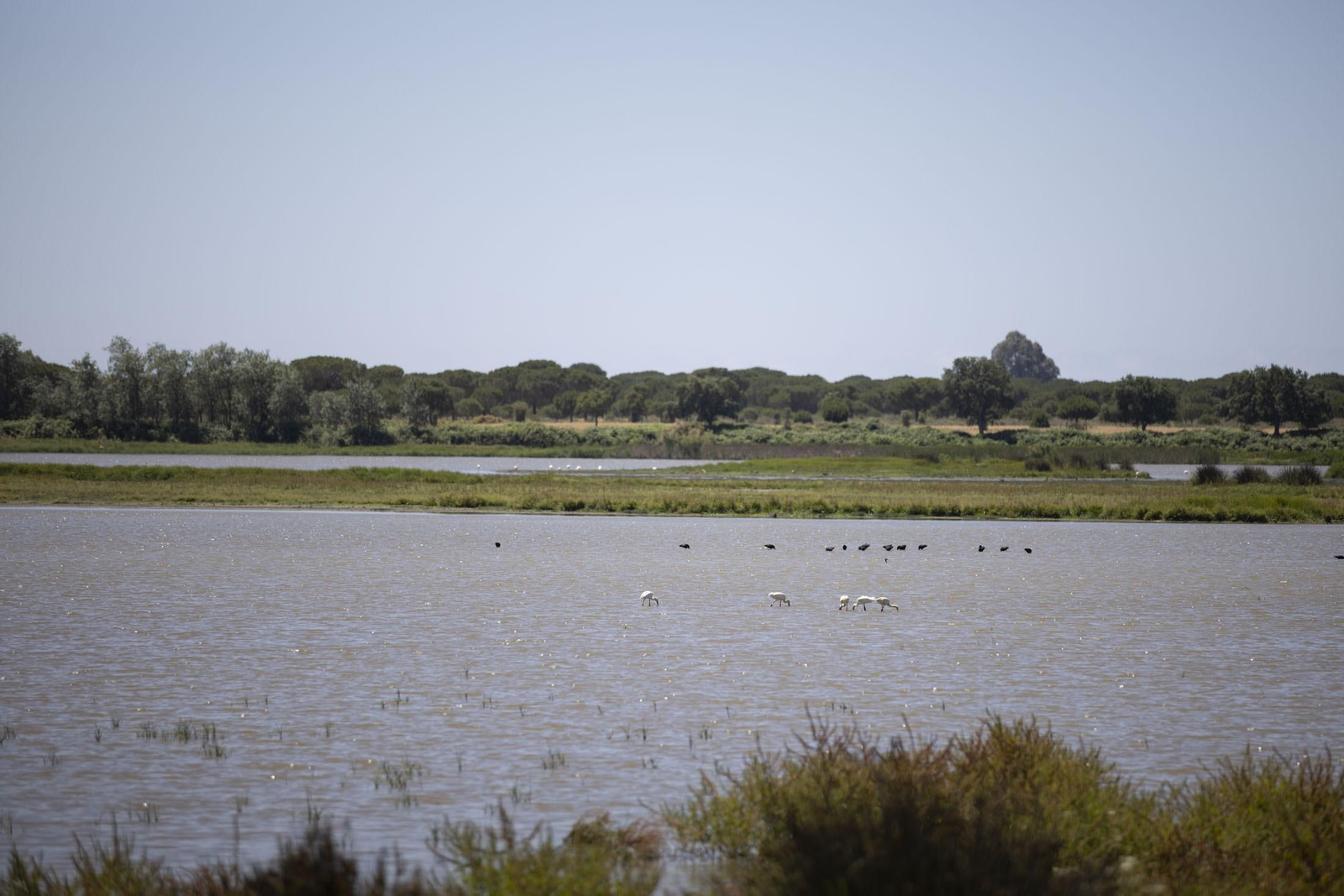 ¿Por qué la aldea del Rocío enamora?