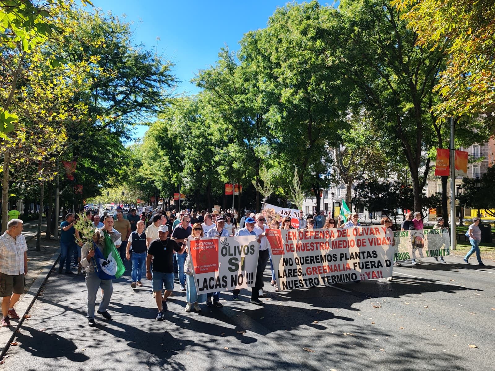 Manifestación en Sevilla contra las megaplantas solares que se quieren instalar en Jaén.