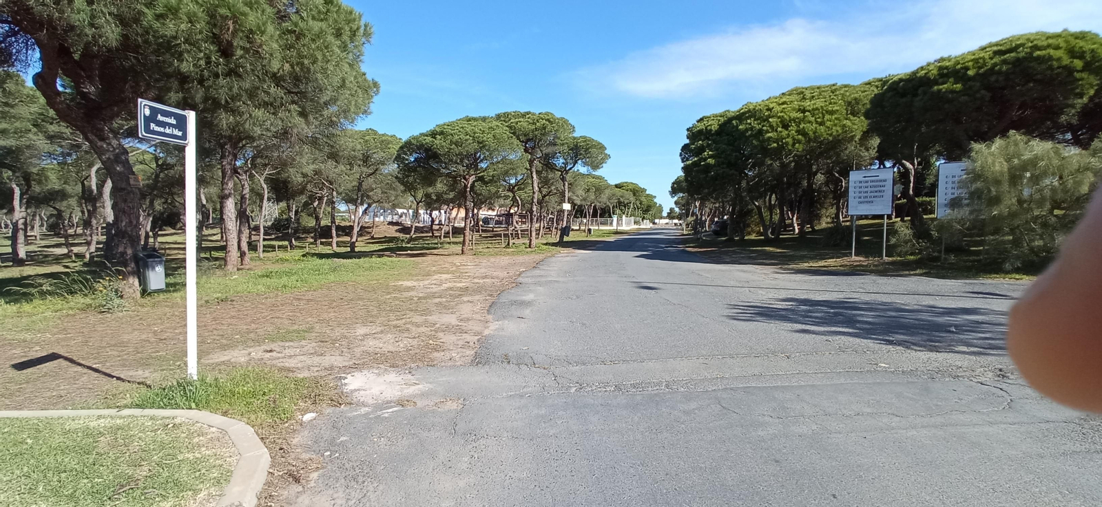 Las imágenes de la ruta de las salinas del Astur y los pinares de Punta Umbría
