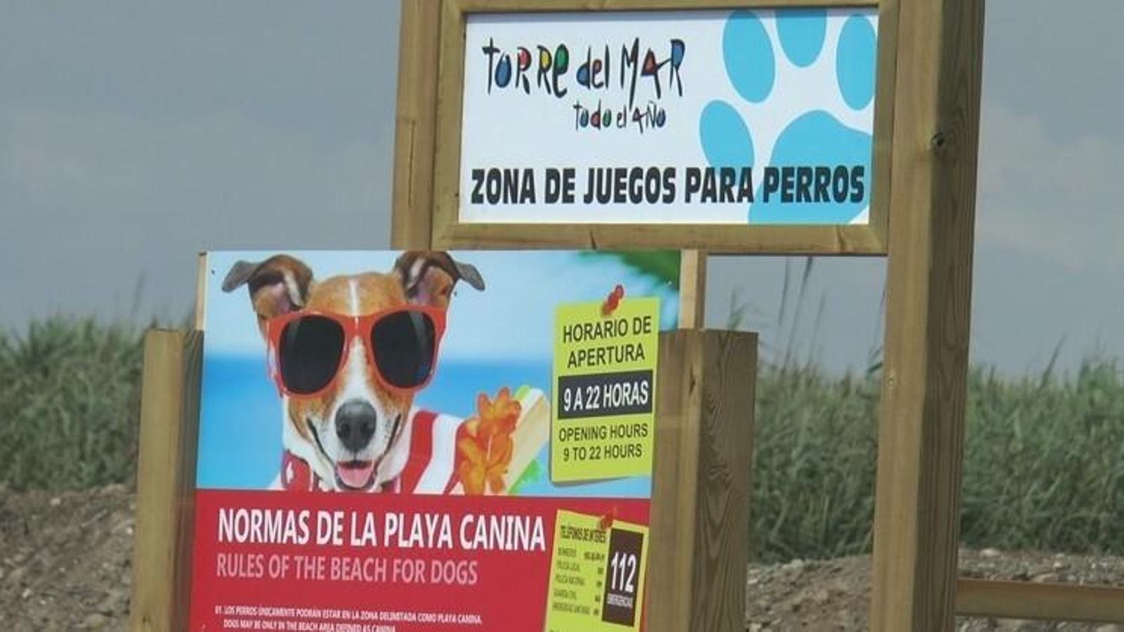 Las normas también están hechas para los perros molones que llevan gafas de sol.