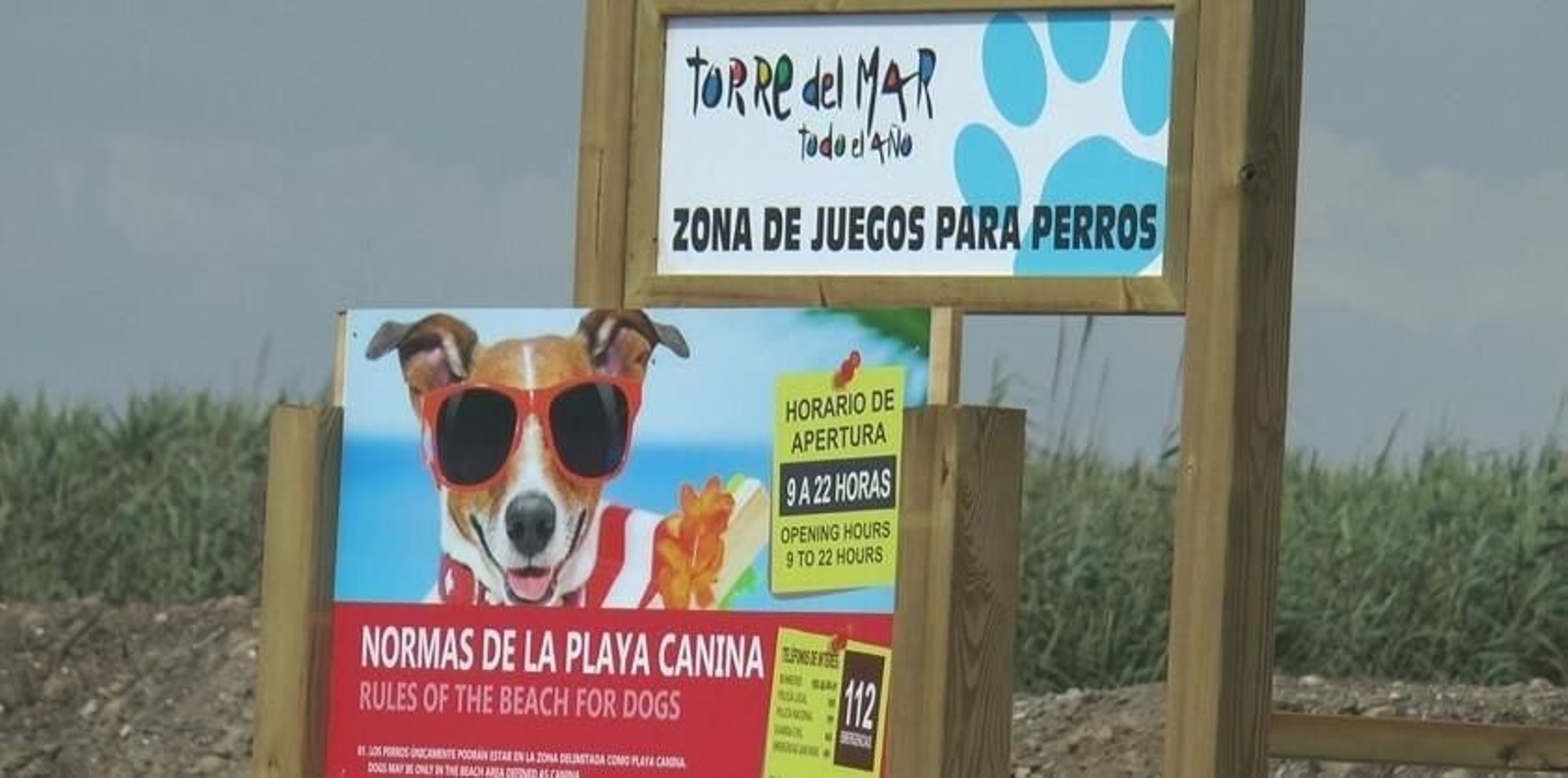 Playa canina de Torre del Mar.