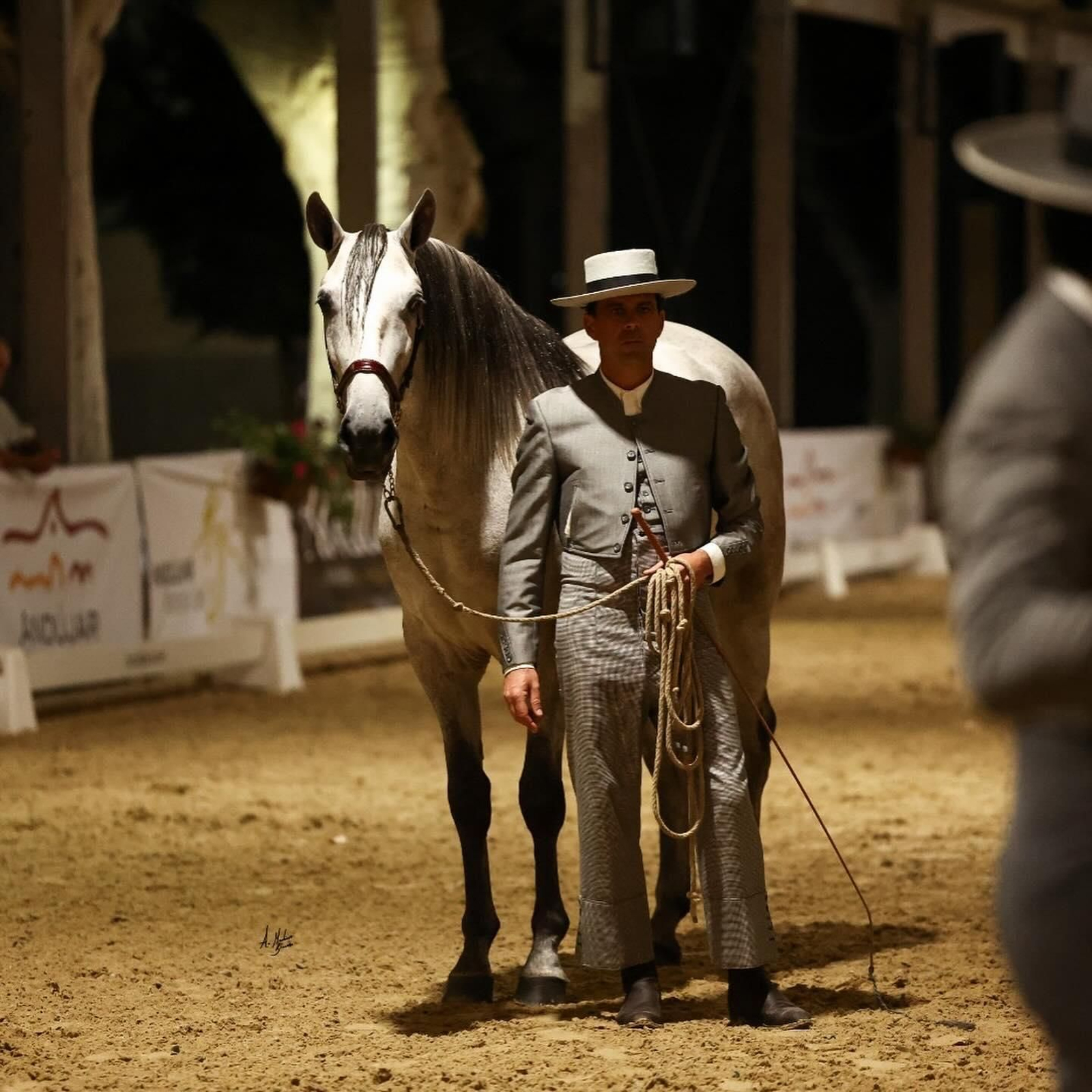 Así es el bello concurso de caballos de Andújar, en imágenes