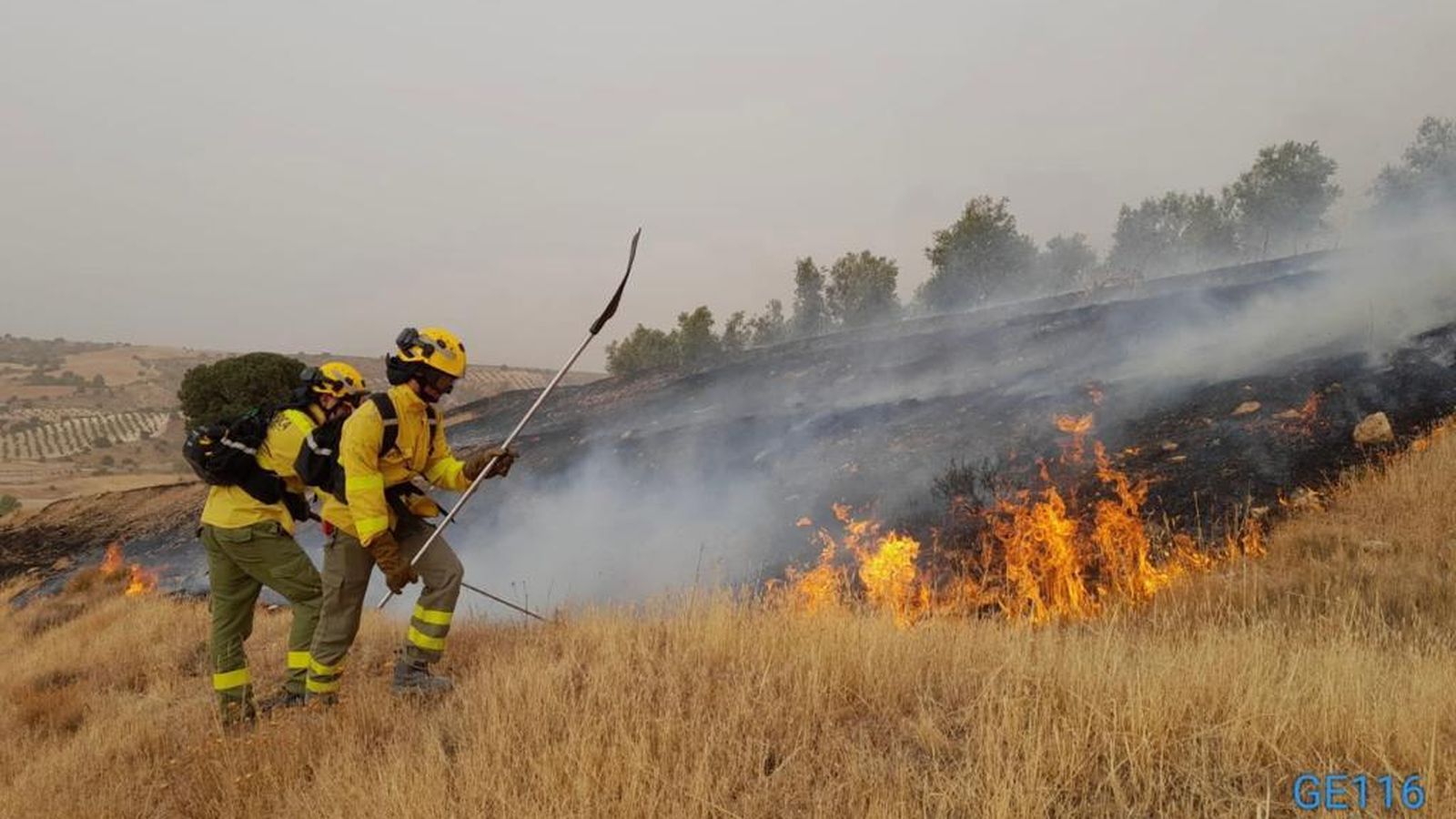Incendio forestal en Guadalhortuna