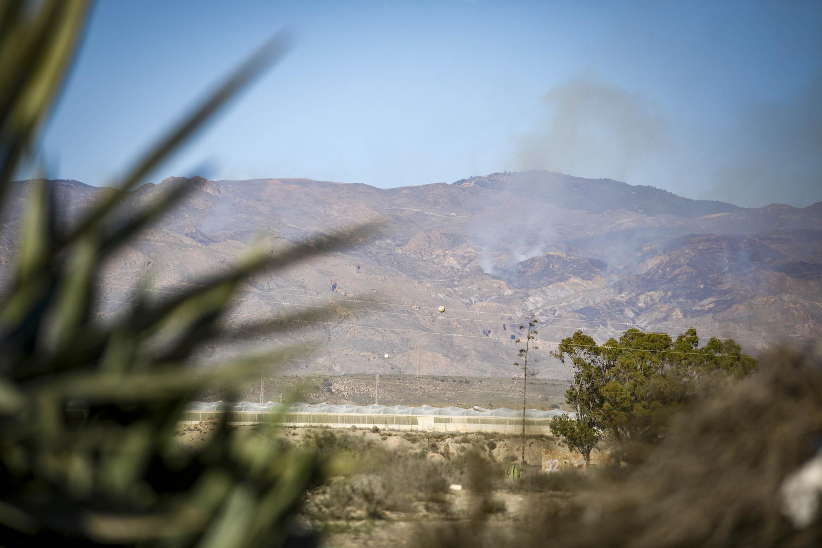 Las imágenes del incendio forestal en Sierra Alhamilla