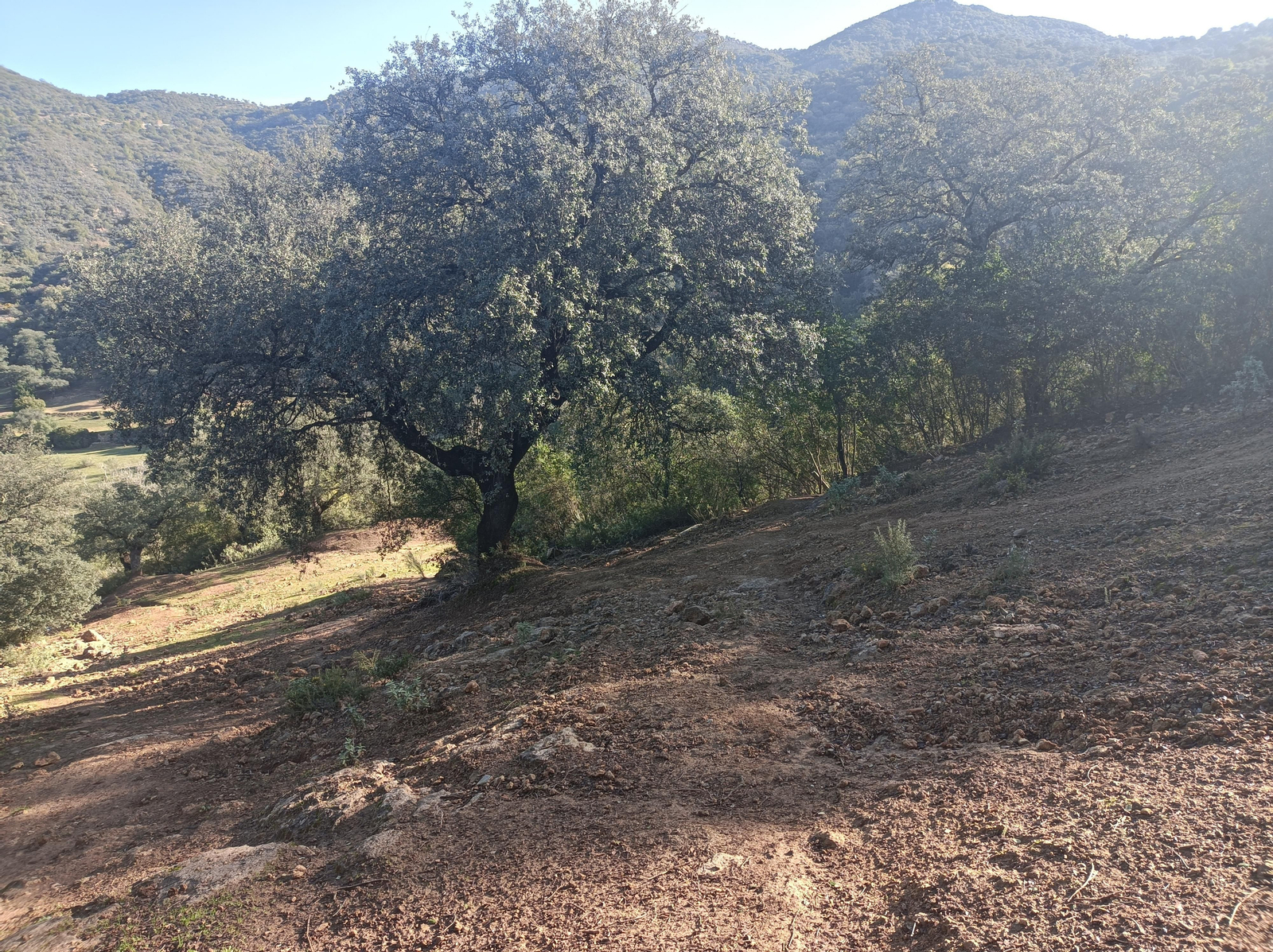 Fotos de la ruta circular de San Pedro, en Coripe
