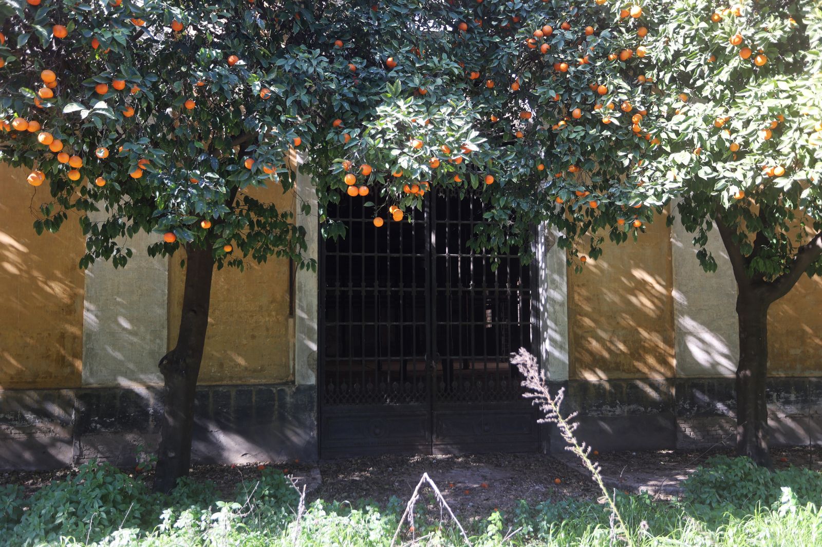 Carolina España visita la antigua fábrica de Artillería