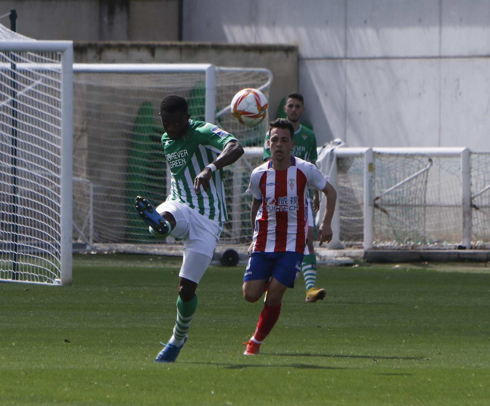 Las mejores fotos del Betis Deportivo - Algeciras CF