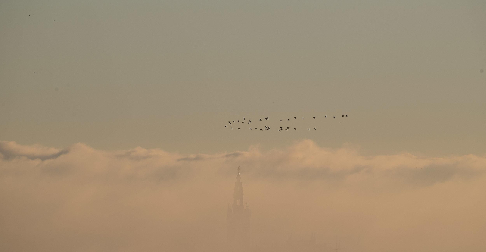 La niebla cubre Sevilla