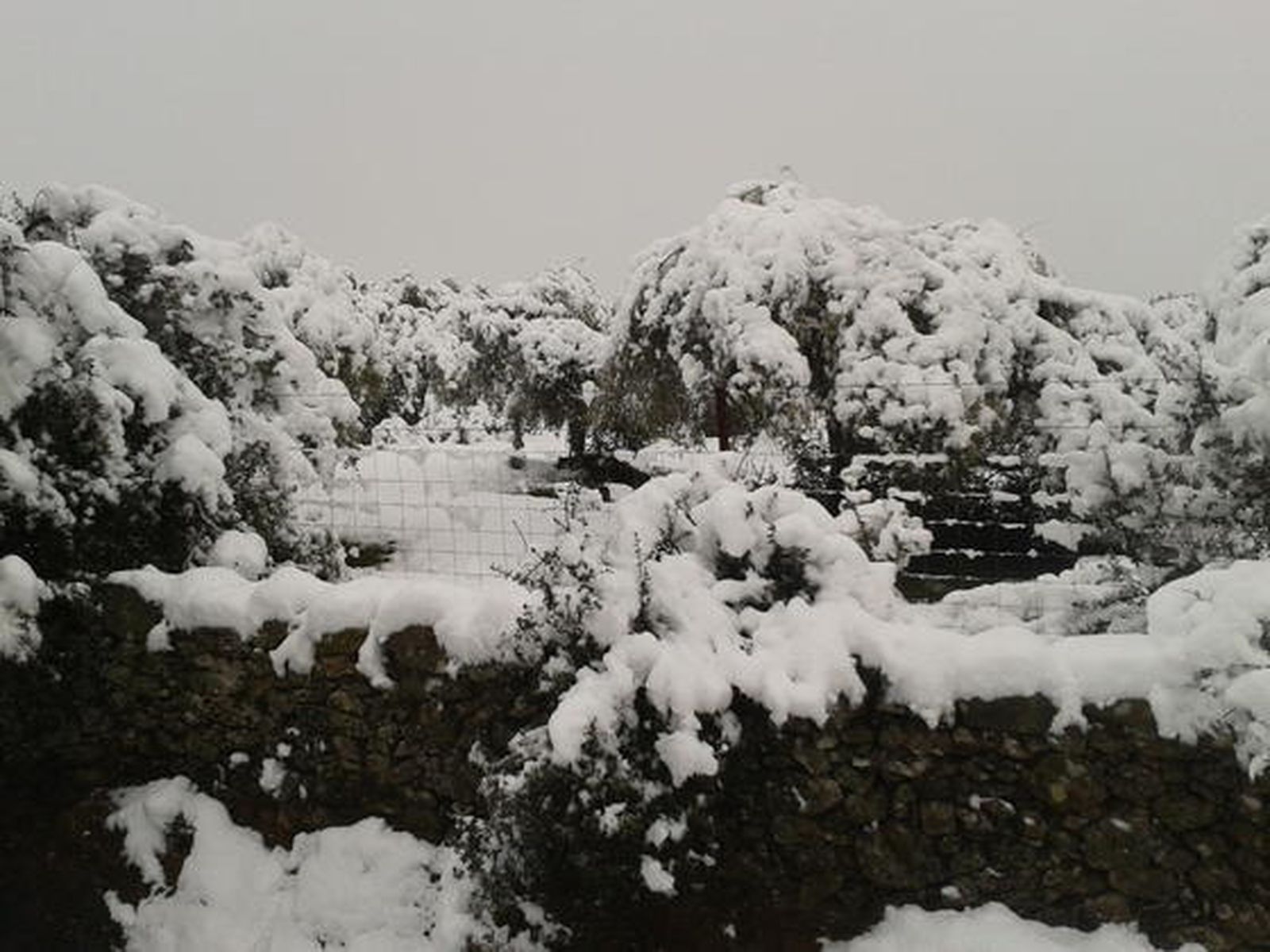 Cazalla de la Sierra.

Foto: Monte Osorio