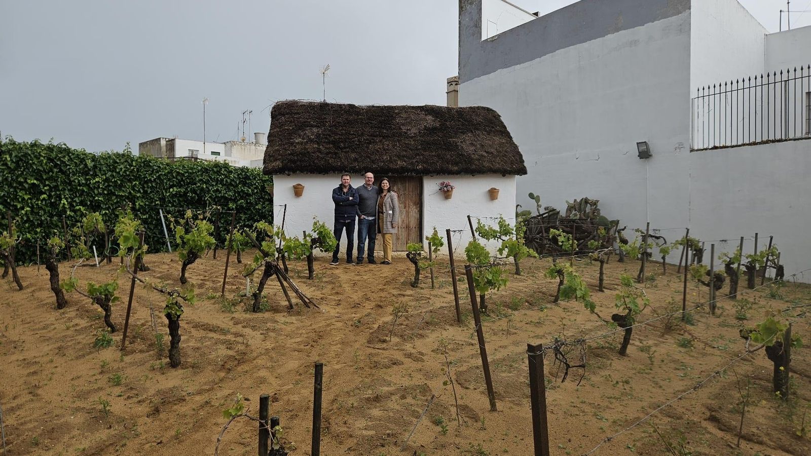 Jóvenes participantes trabajando